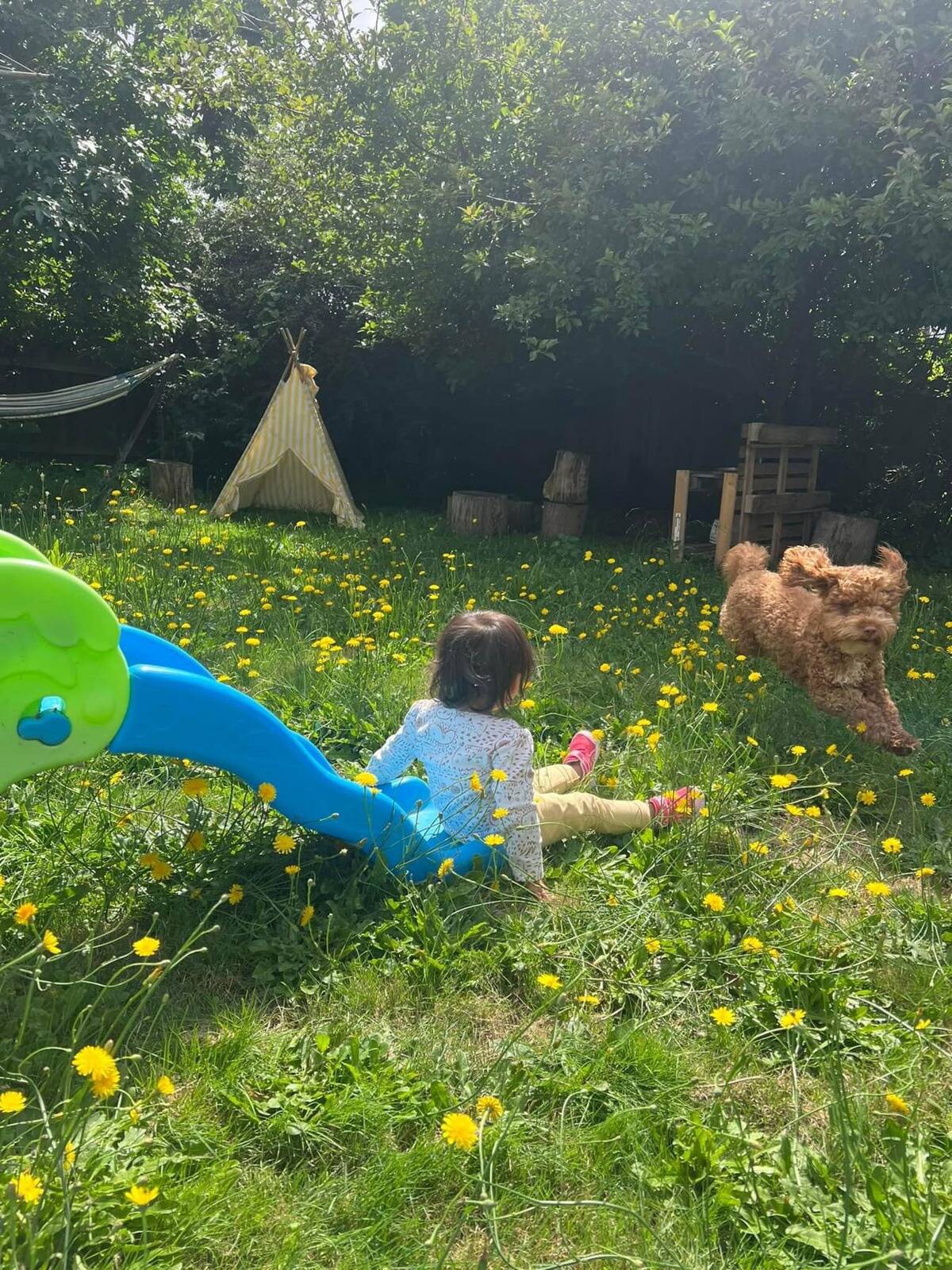 MindTrees Family Day Care