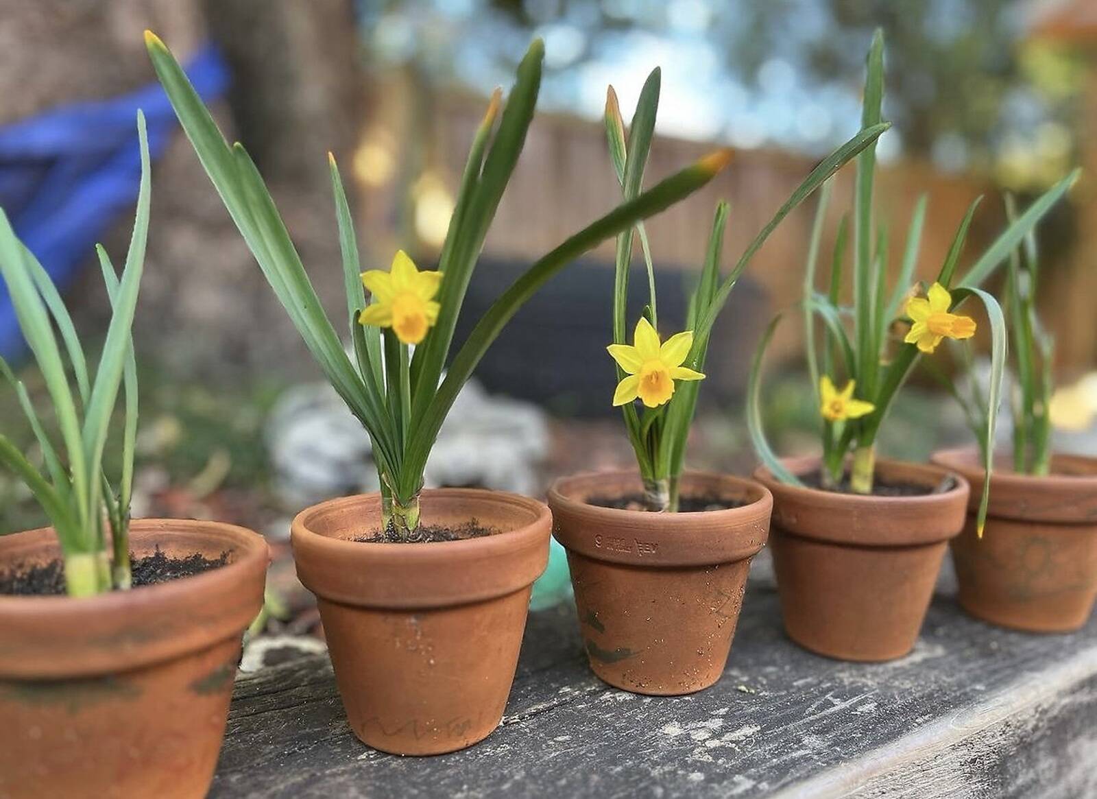 Wee Wonders Child Care Centre