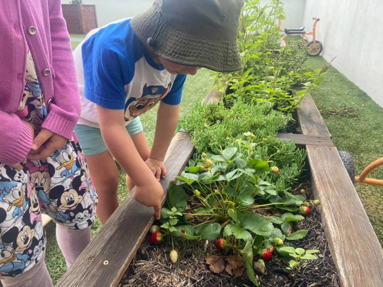 Story House Early Learning Miranda