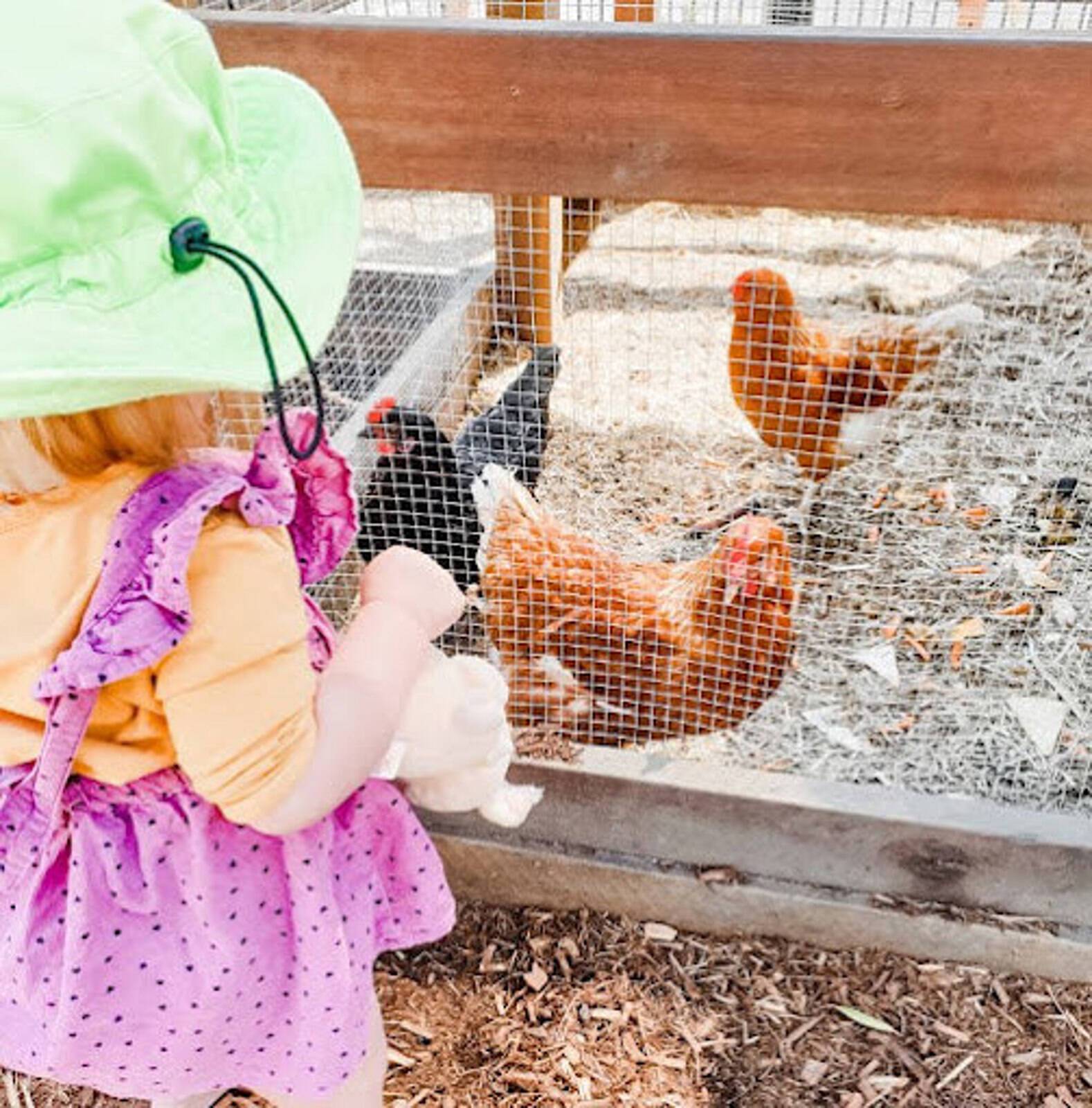 Whispering Gully Childcare Warwick