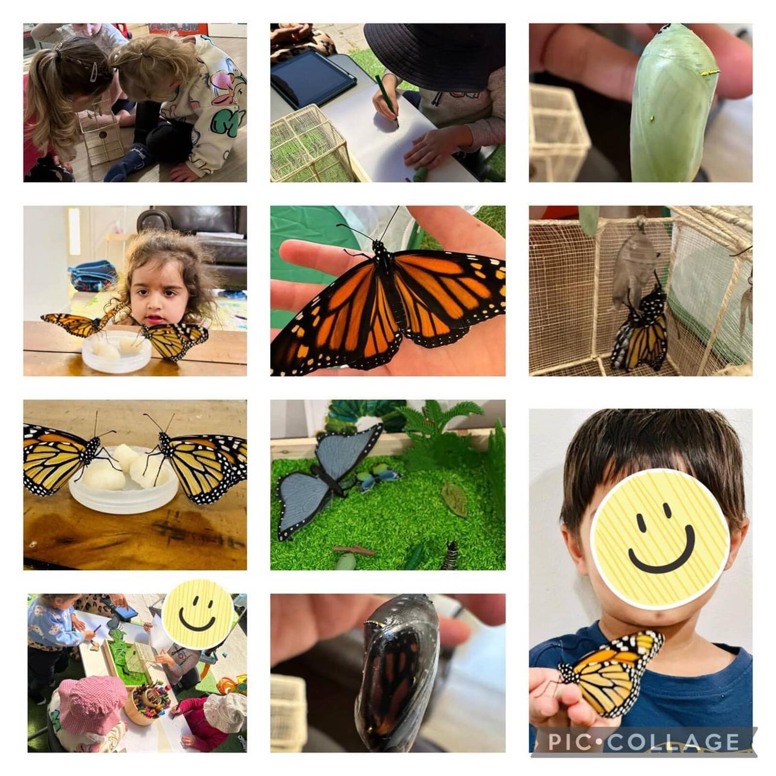 Little learners family daycare