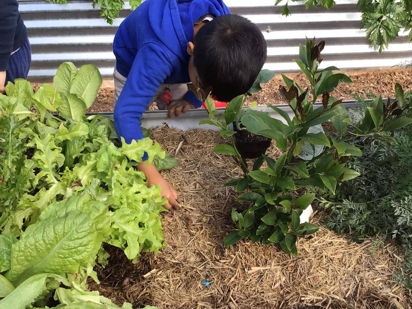 Story House Early Learning Doreen