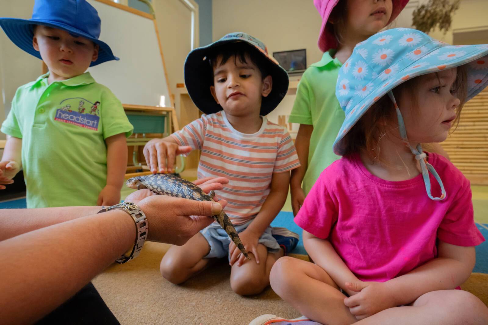 Headstart Early Education Clyde North