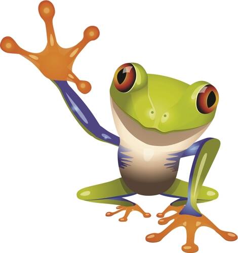 Frogtastic Educational Kindergarten and Childcare