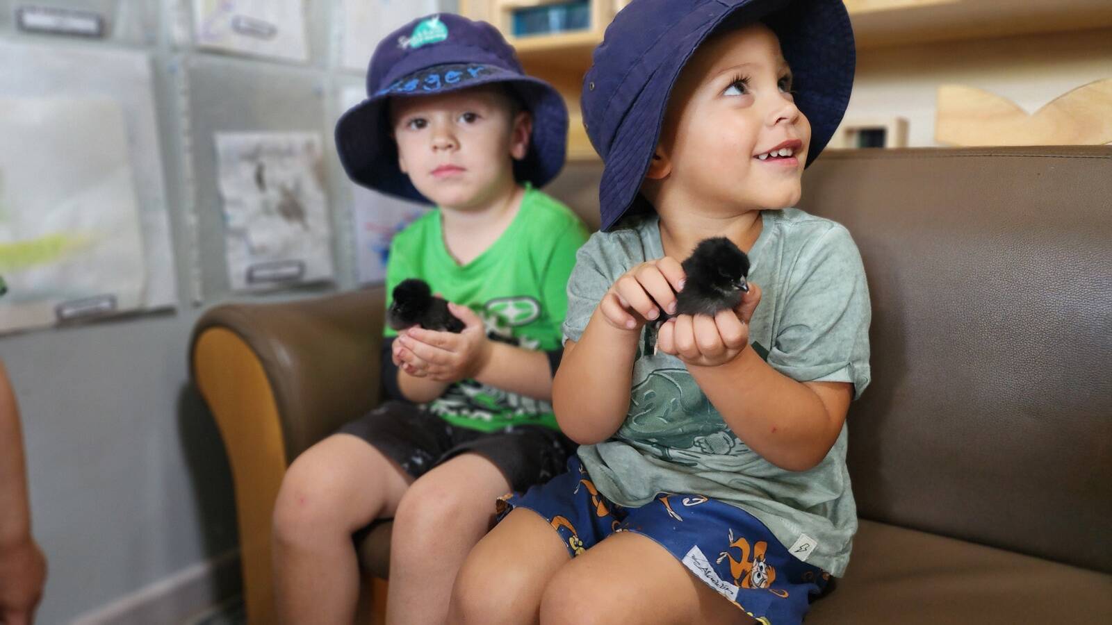 Sparrow Early Learning Eagleby