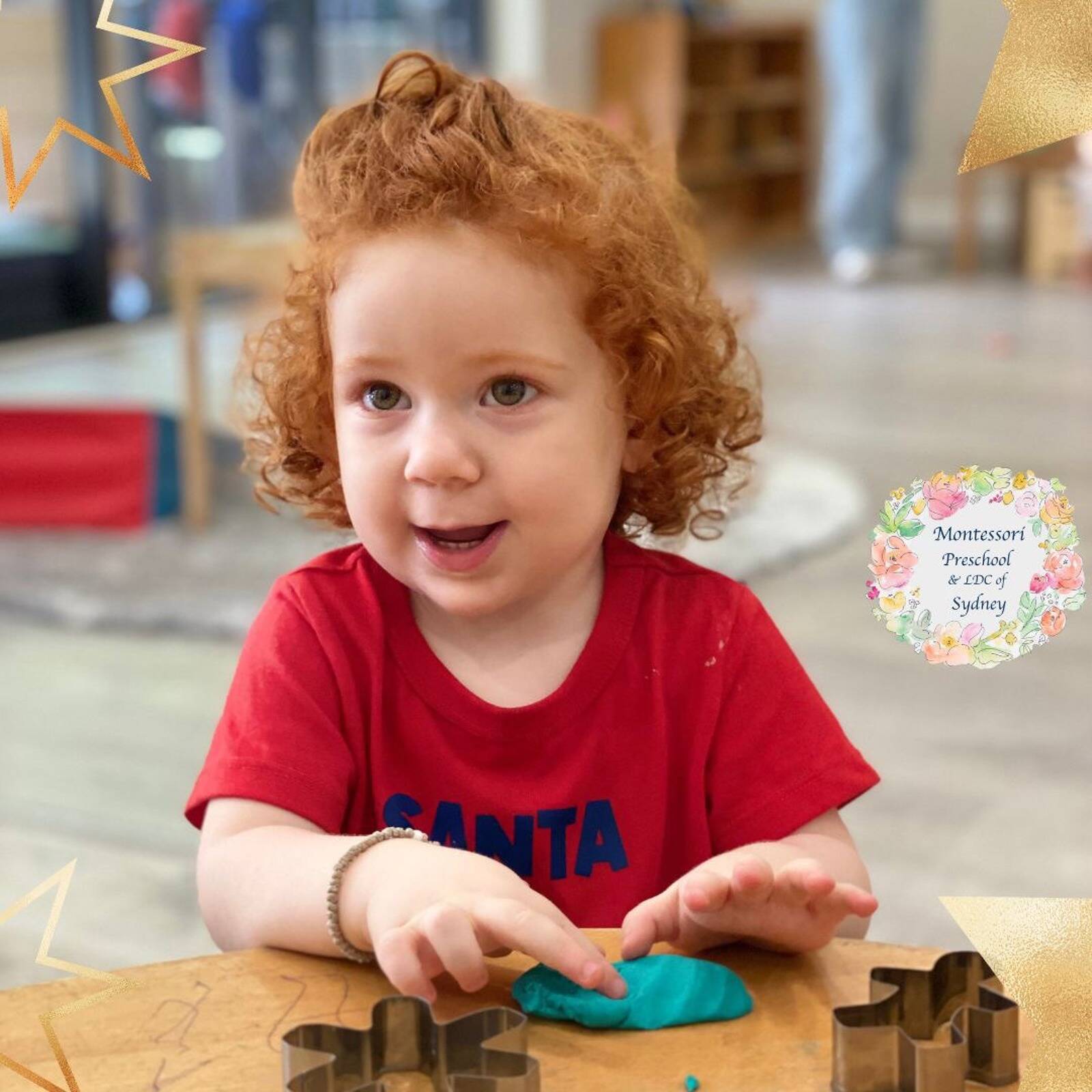 The Montessori Preschool & LDC of Sydney
