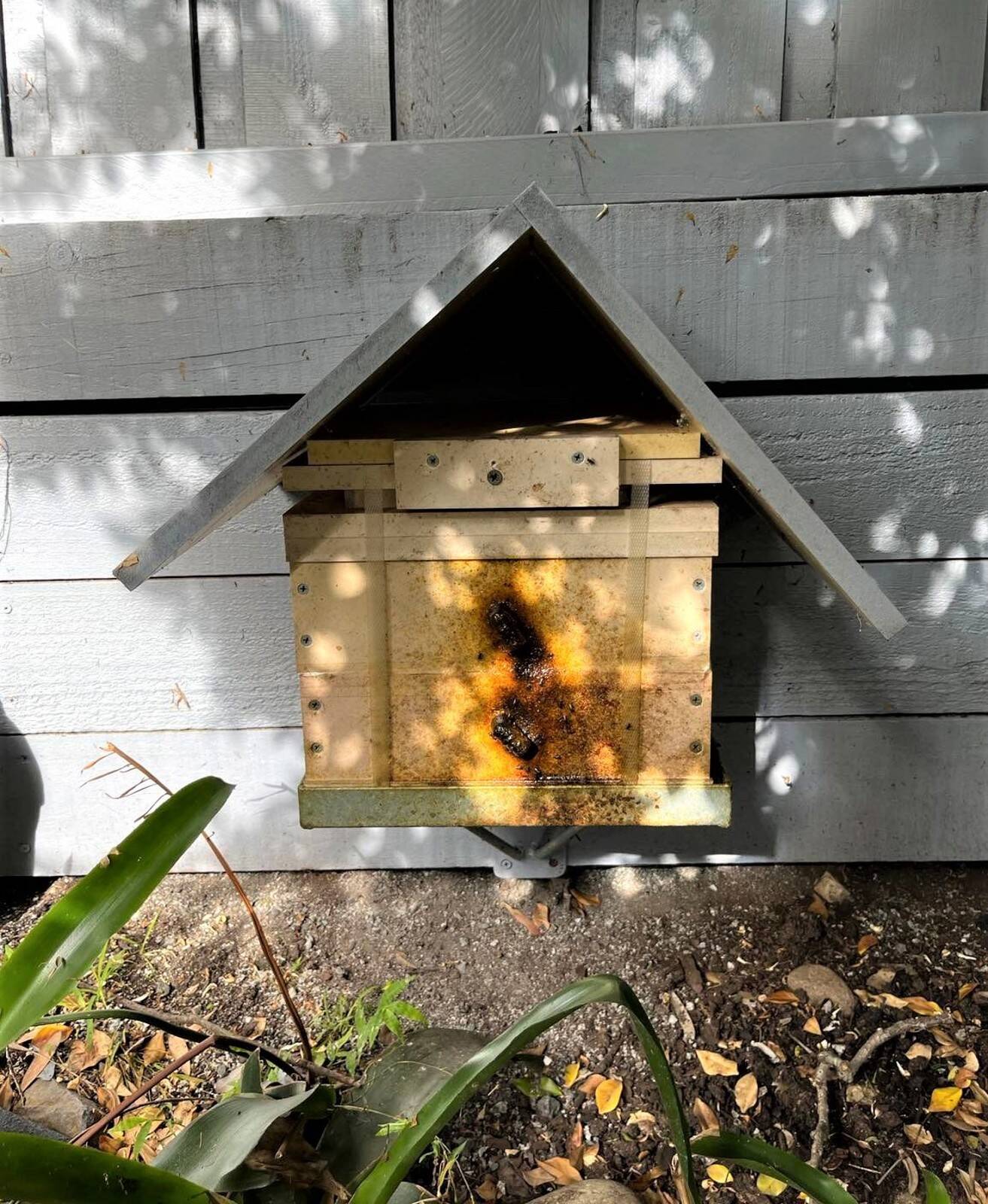 Midson Road Child Care Centre