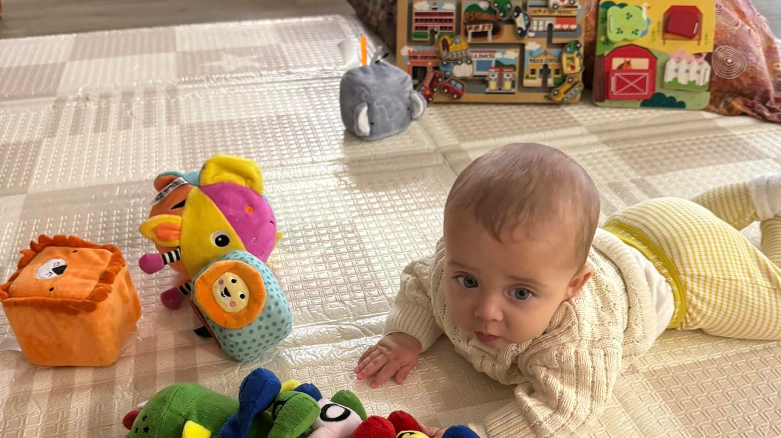 AppleBerries Early Education Service Noosaville