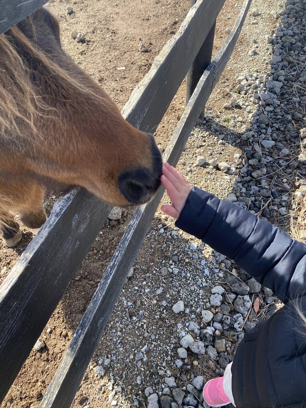 JT's Laugh and Learn Family Day Care