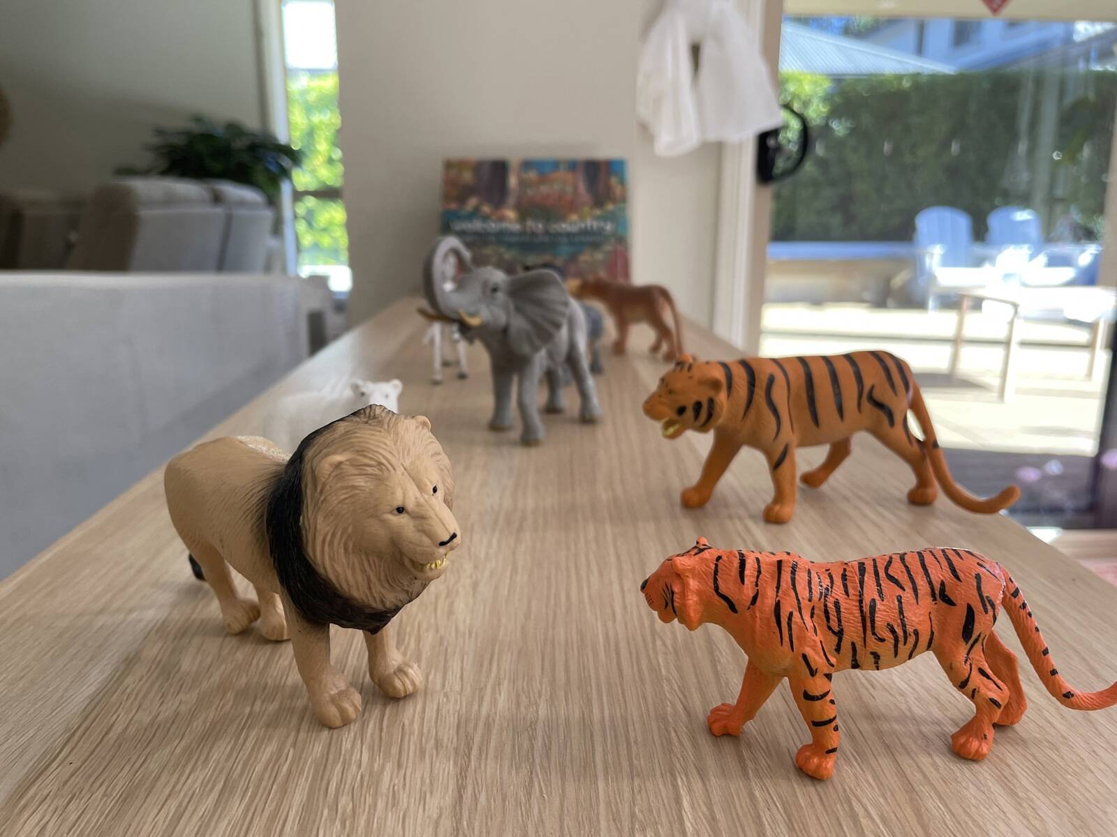 Kiddie Cove Family Day Care