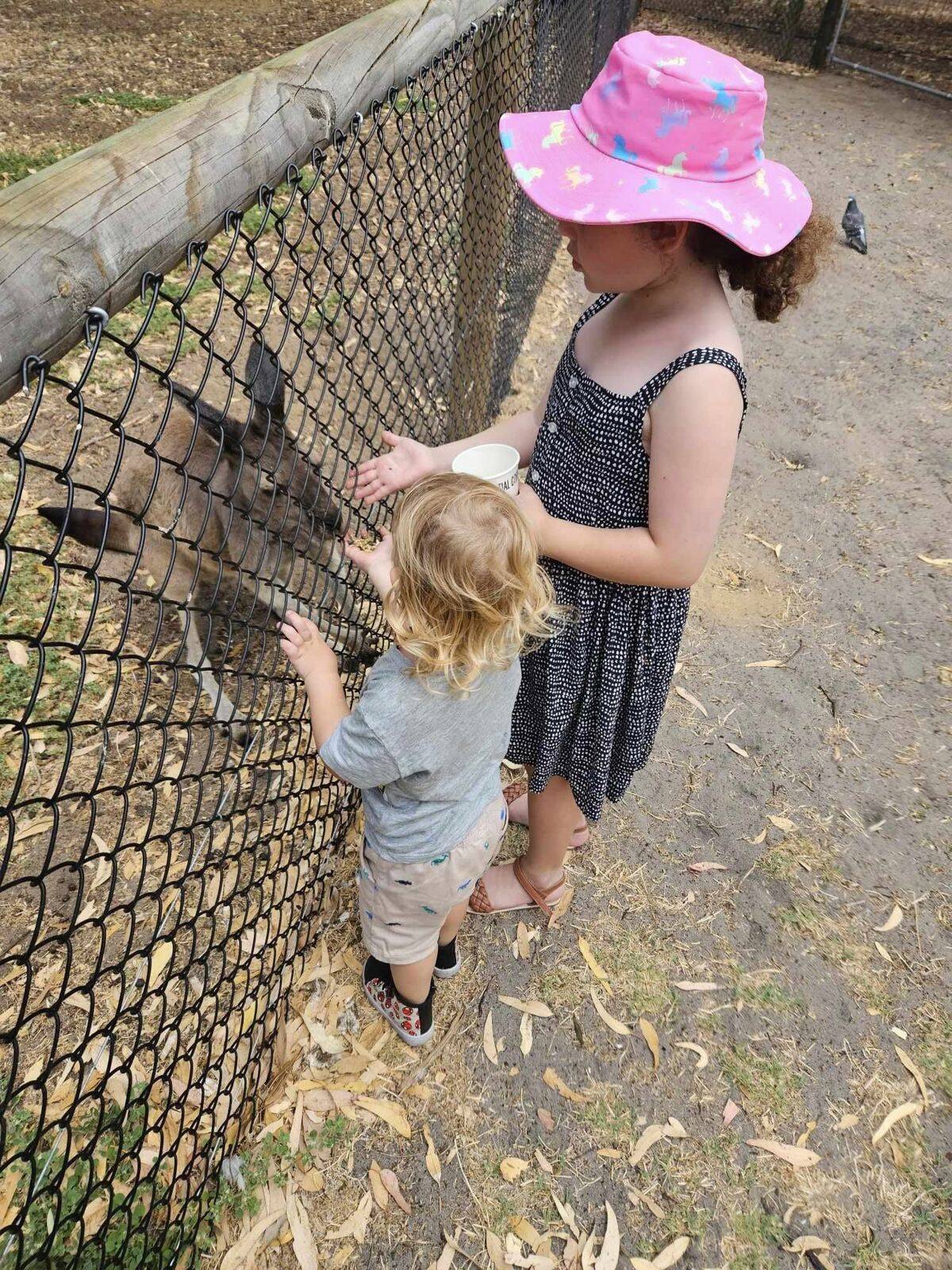 Joybells Explorers Family Daycare