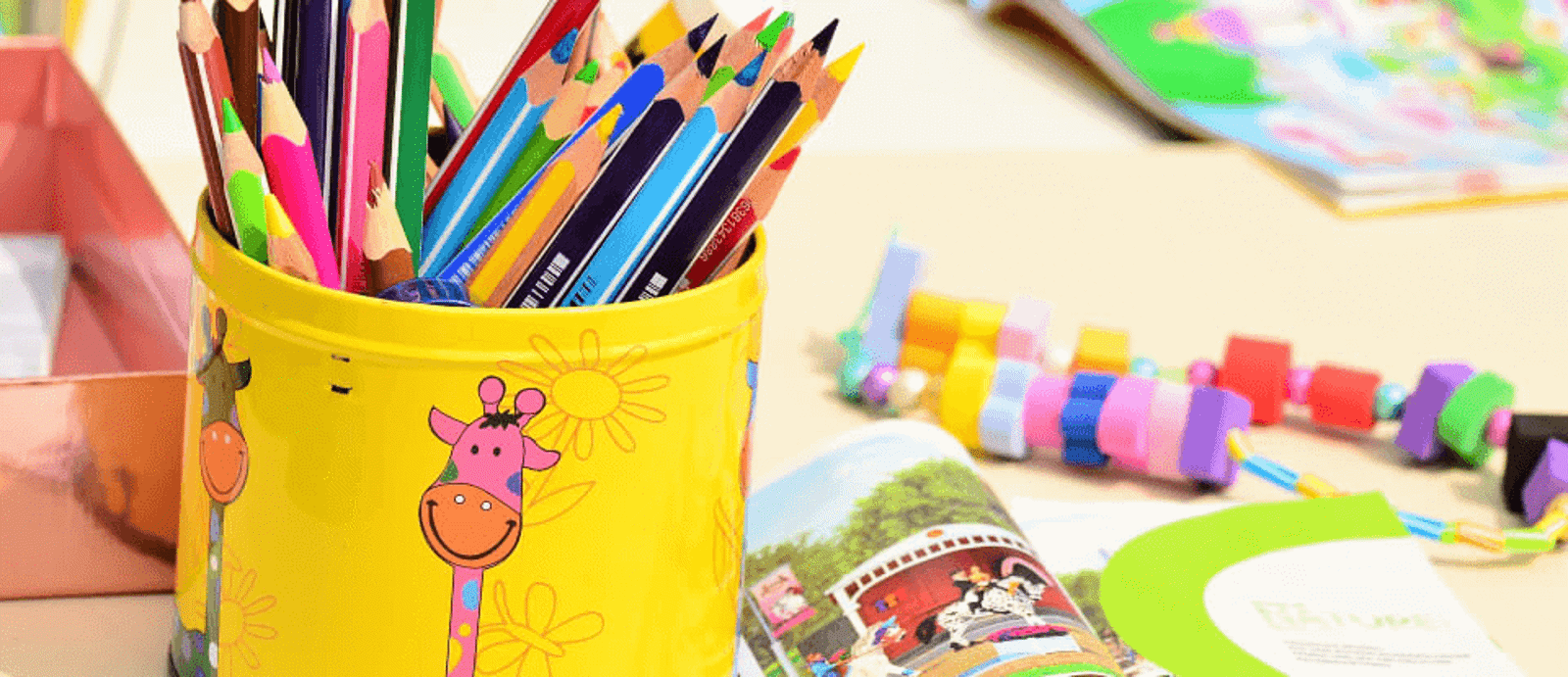 Richa's Family Day Care Service