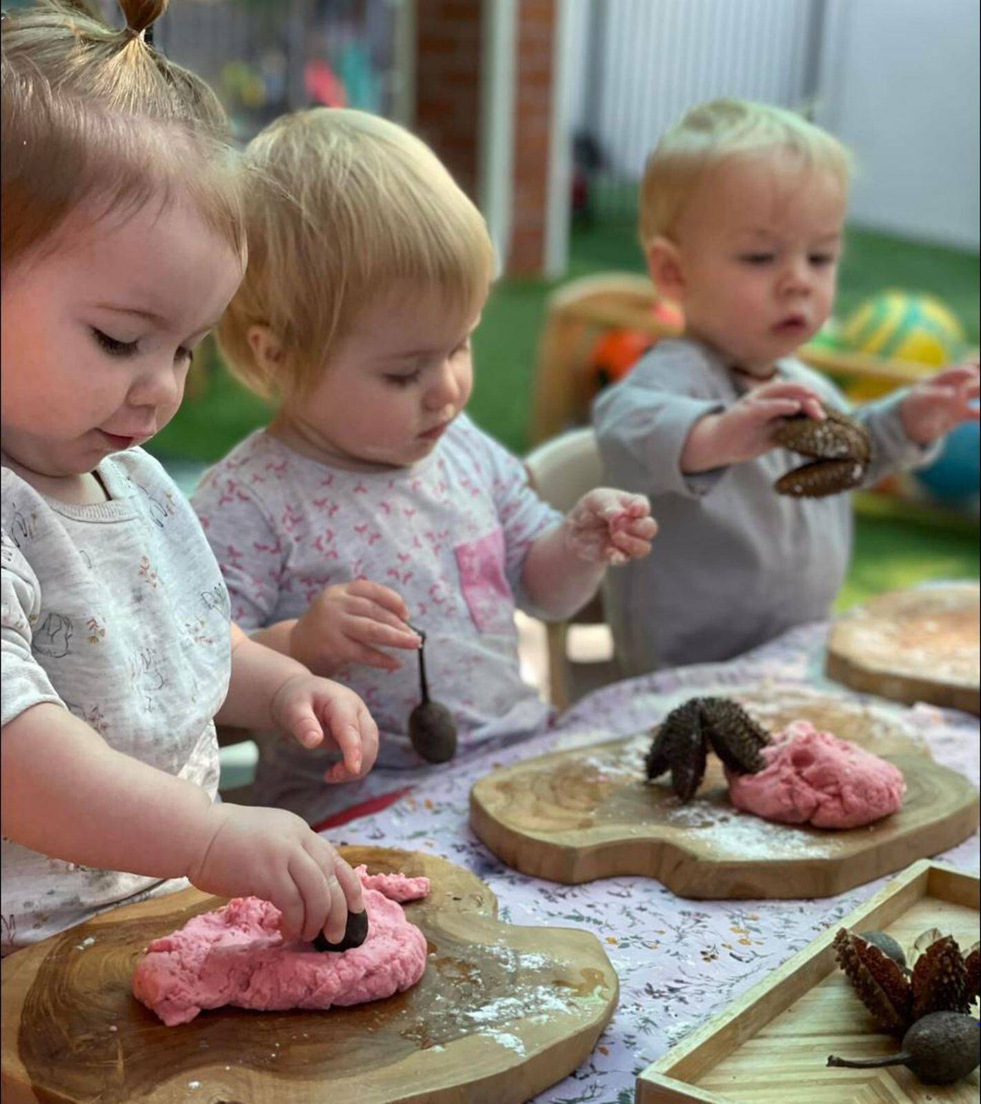 The Strawberry Bush Early Learning Academy