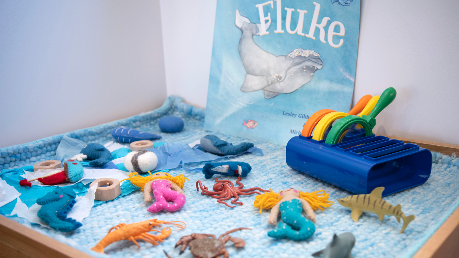 Kids World Kindy - Bomaderry