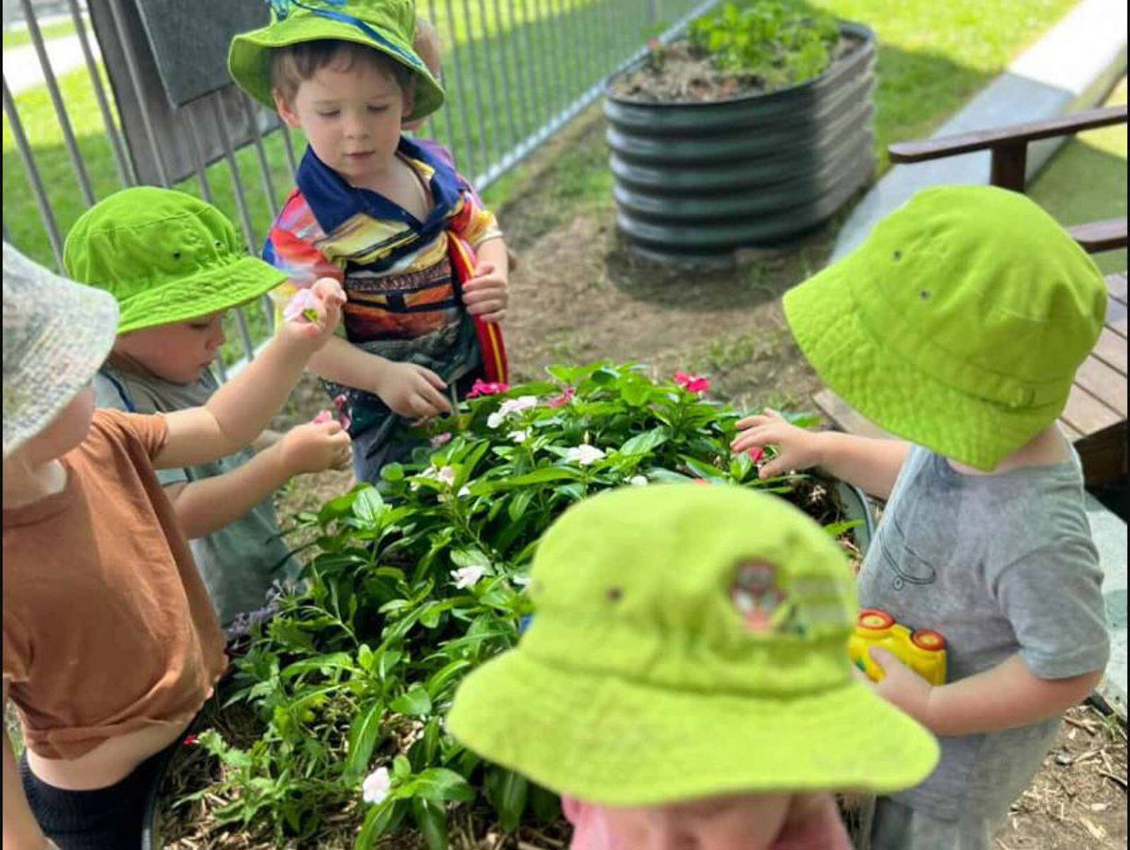 Smart Tots Early Education Alexandra Hills