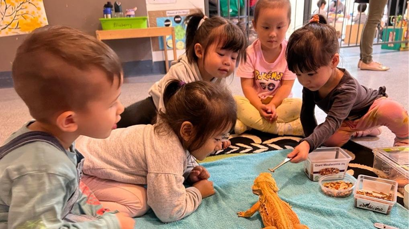 Kiddyland Childcare Centre - Hurstville