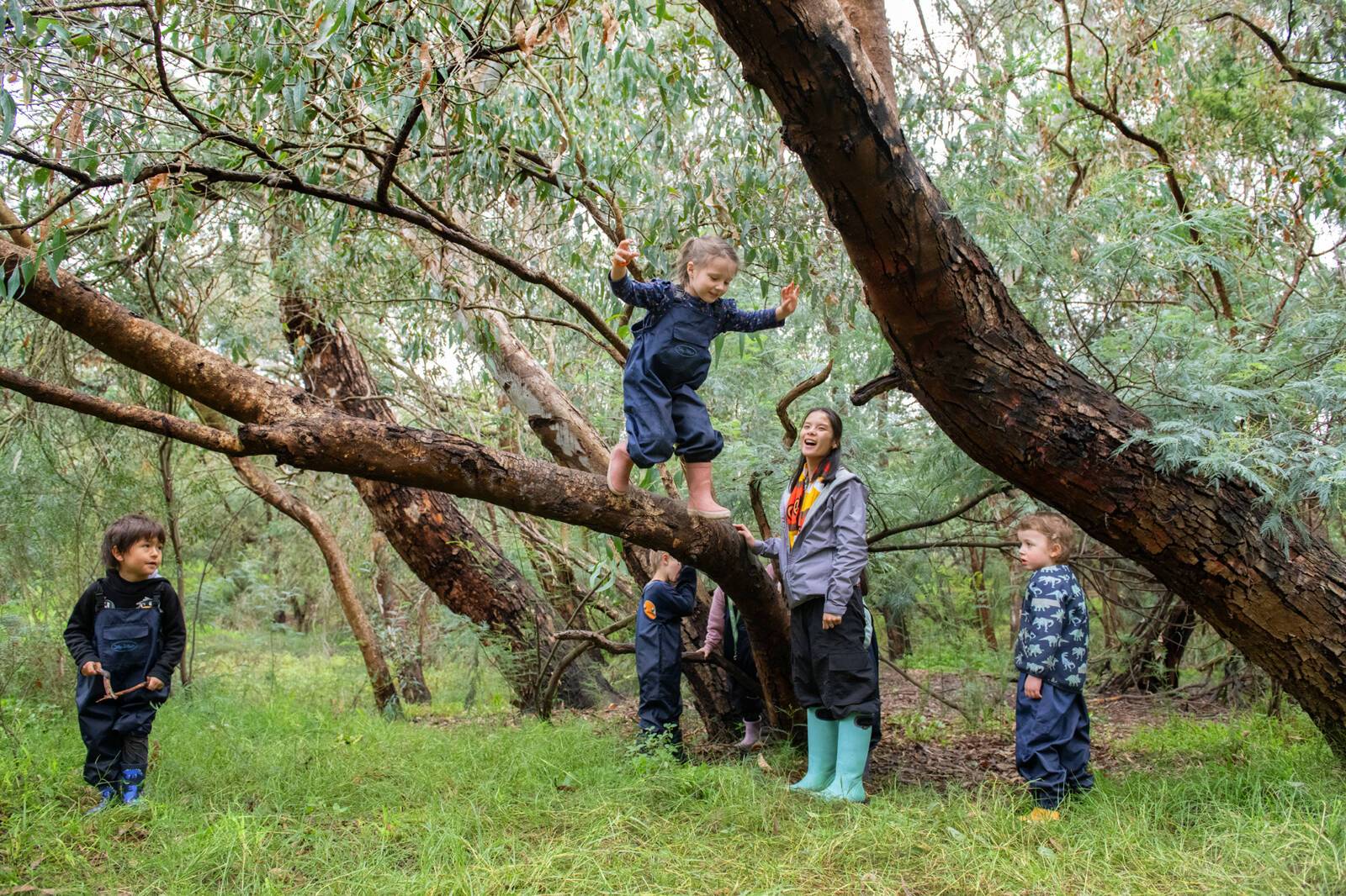 Gowrie Victoria Carlton North