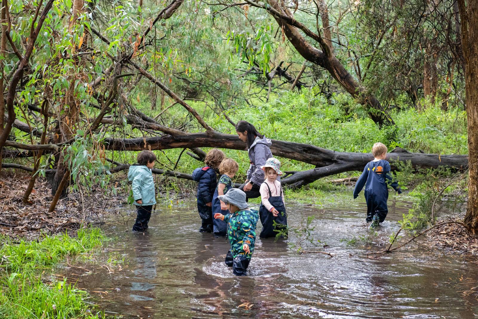 Gowrie Victoria Carlton North