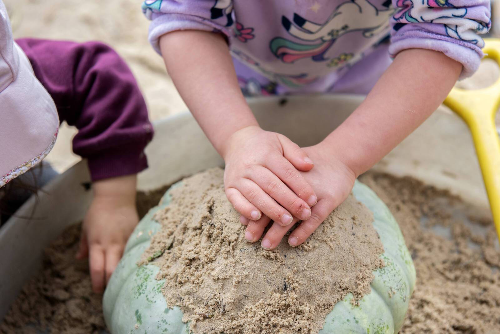 Gowrie Victoria at The Harbour