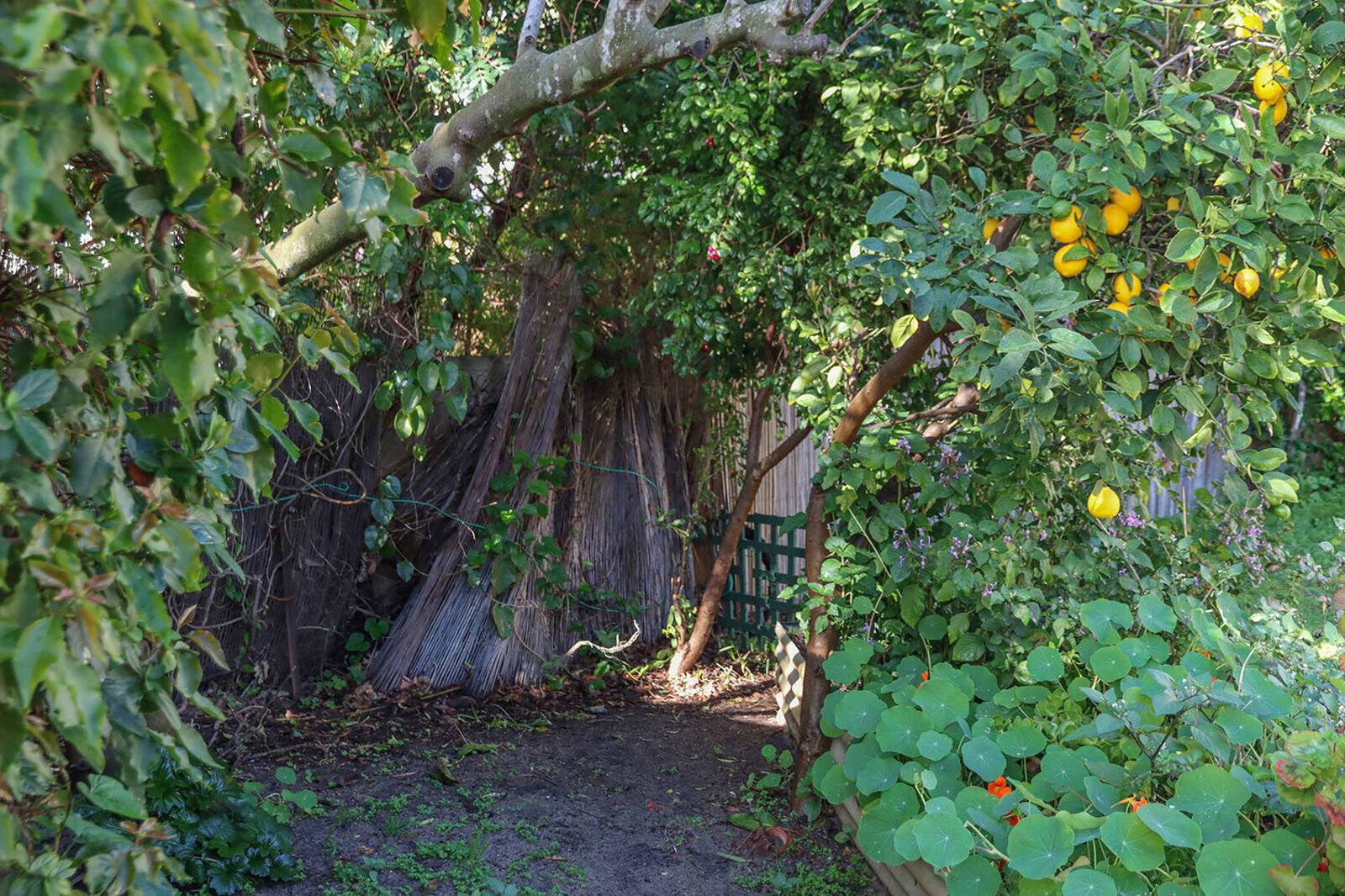 Kidz Fun Family Day Care