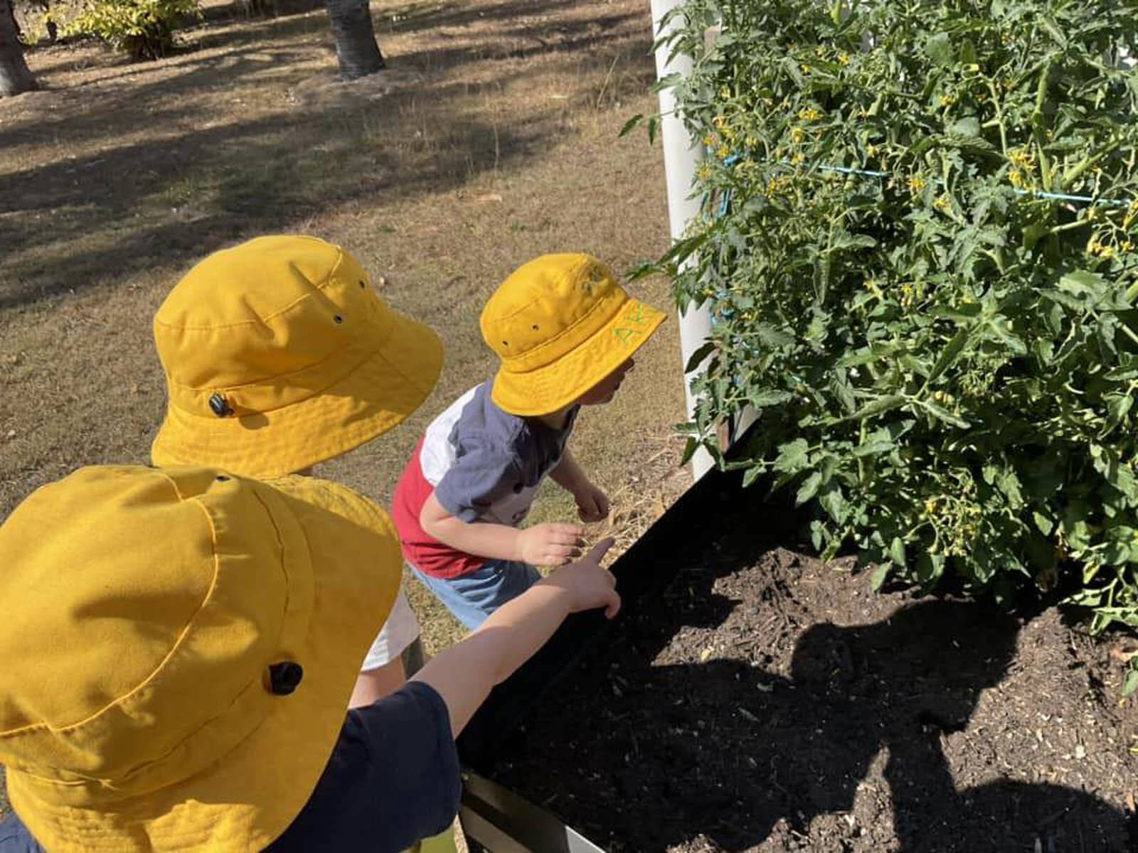 Boonah & District Family Day Care Scheme