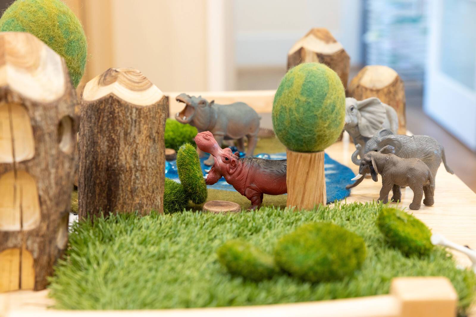 Haven Early Learning Cecil Hills