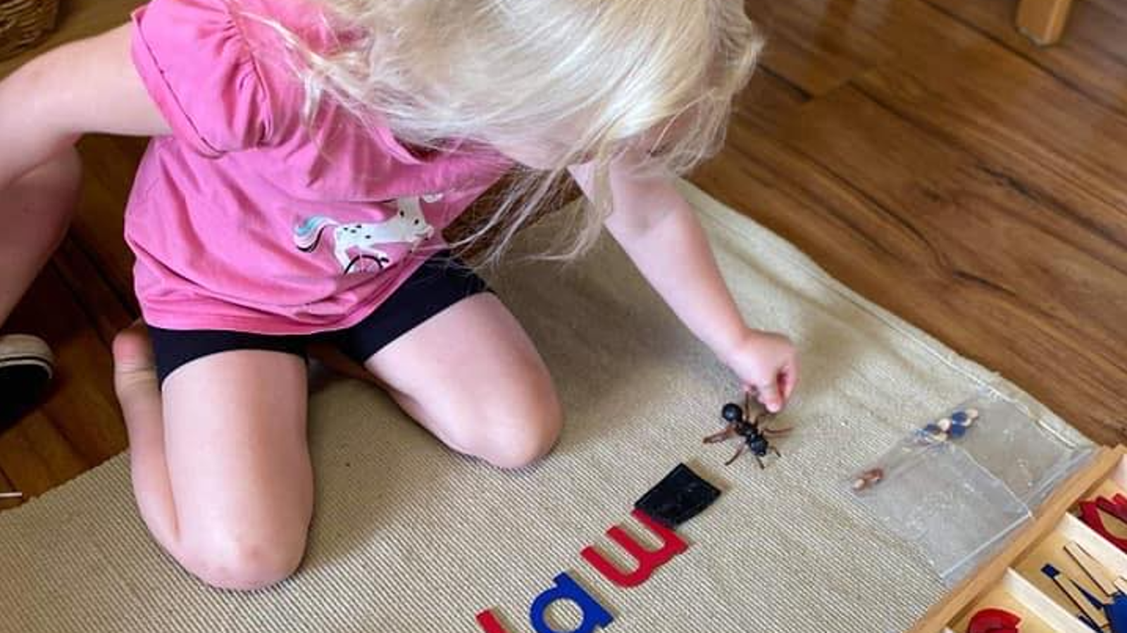 Building Futures Montessori - Blackstone