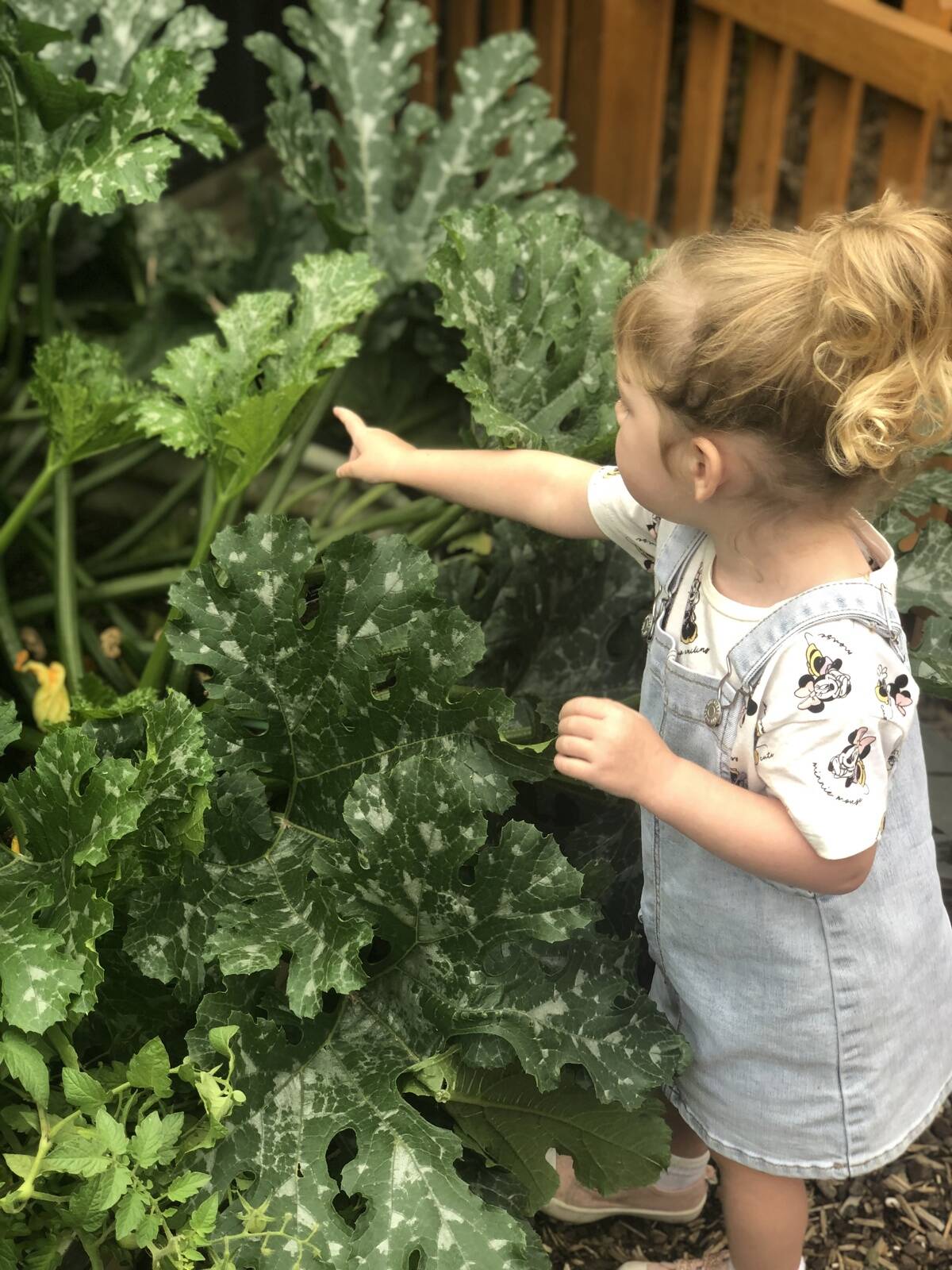 Cheeky Clouds Early Learning Centre