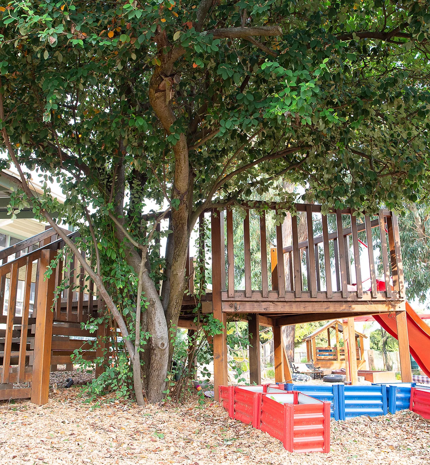 Heathmont Bilingual Montessori Early Learning