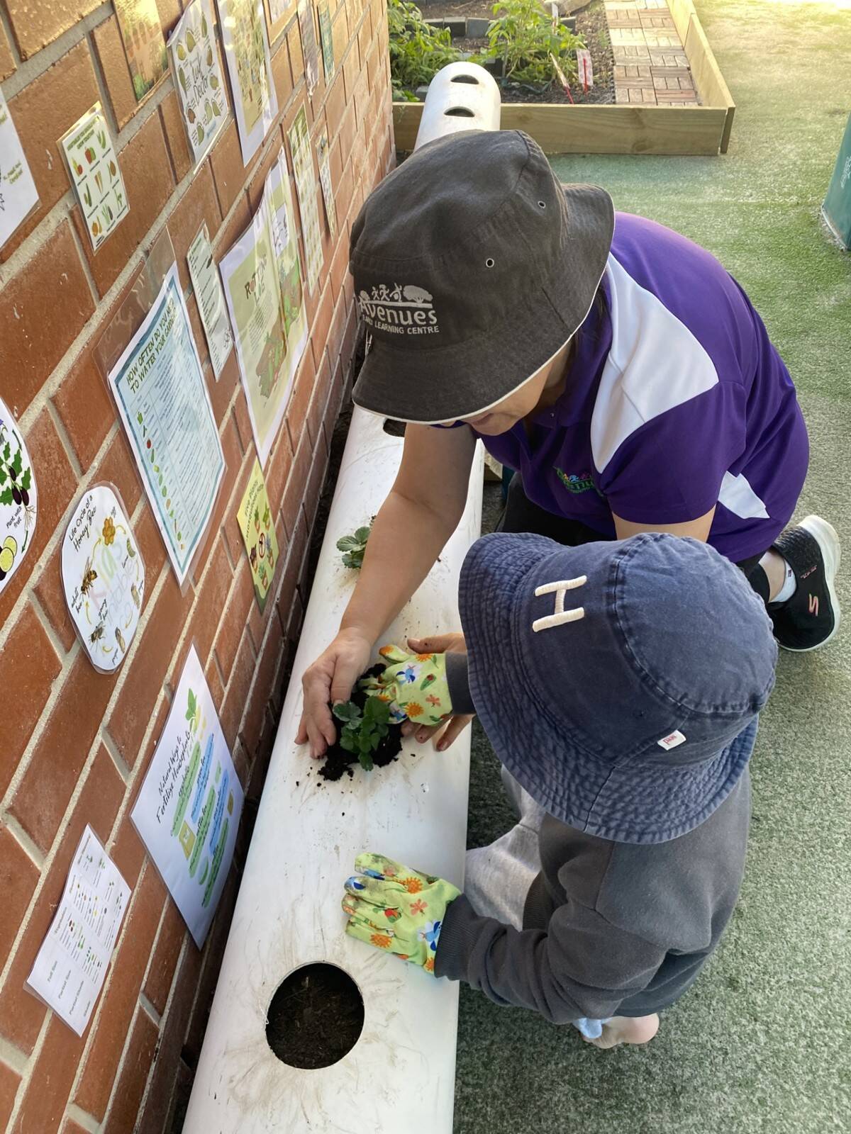 Avenues Early Learning Centre - Sunnybank Hills