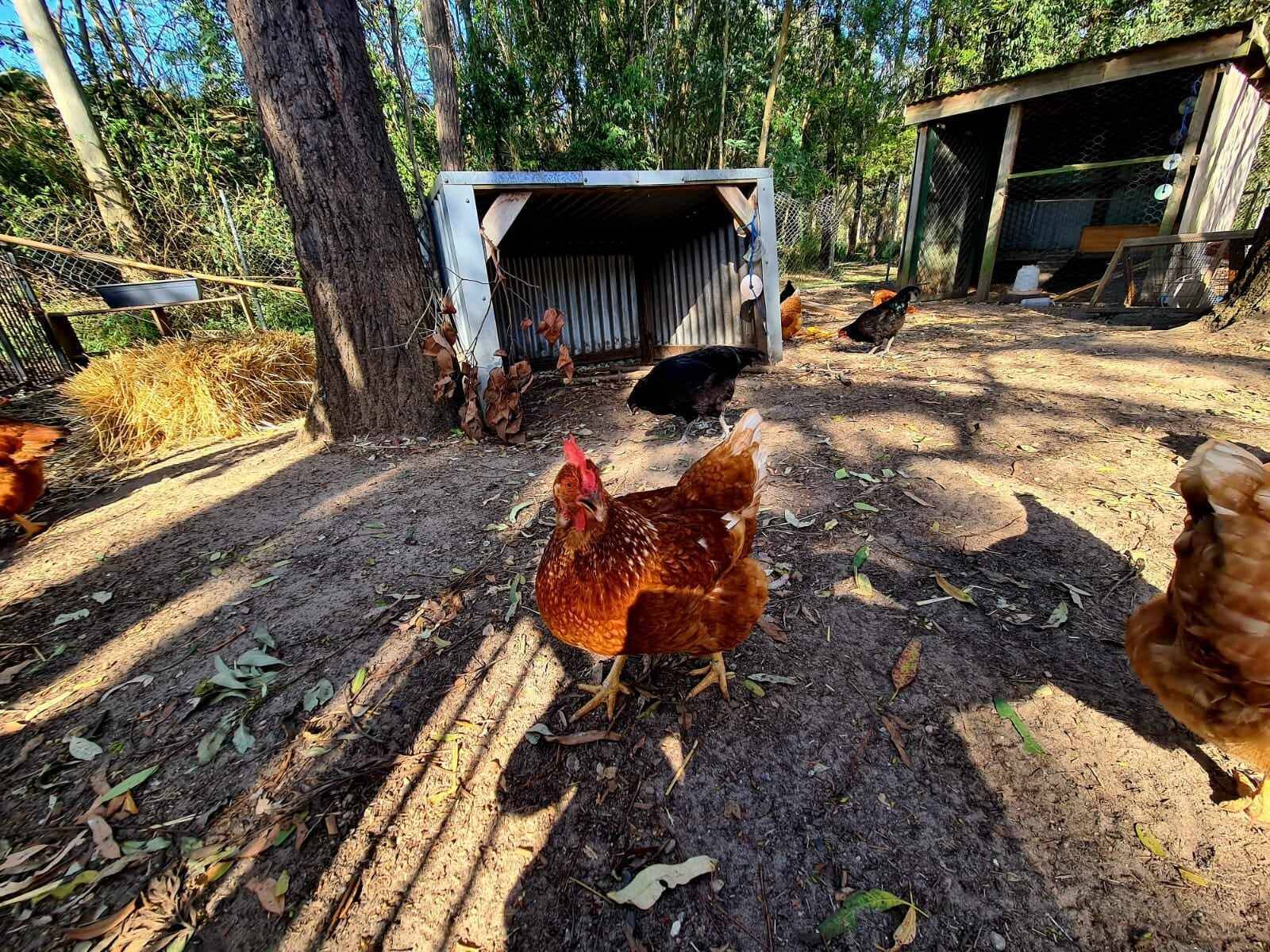 Avenues Early Learning Centre Kimberley Park