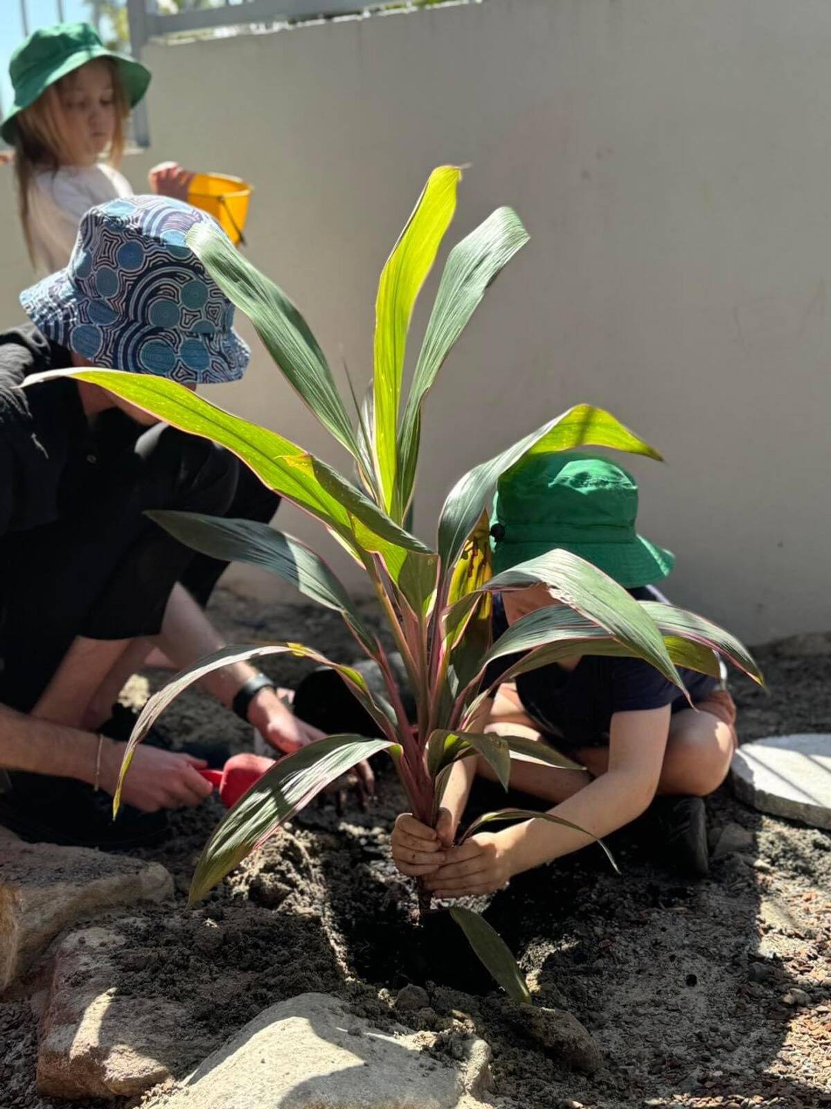 Plainland Kindergarten and Childcare