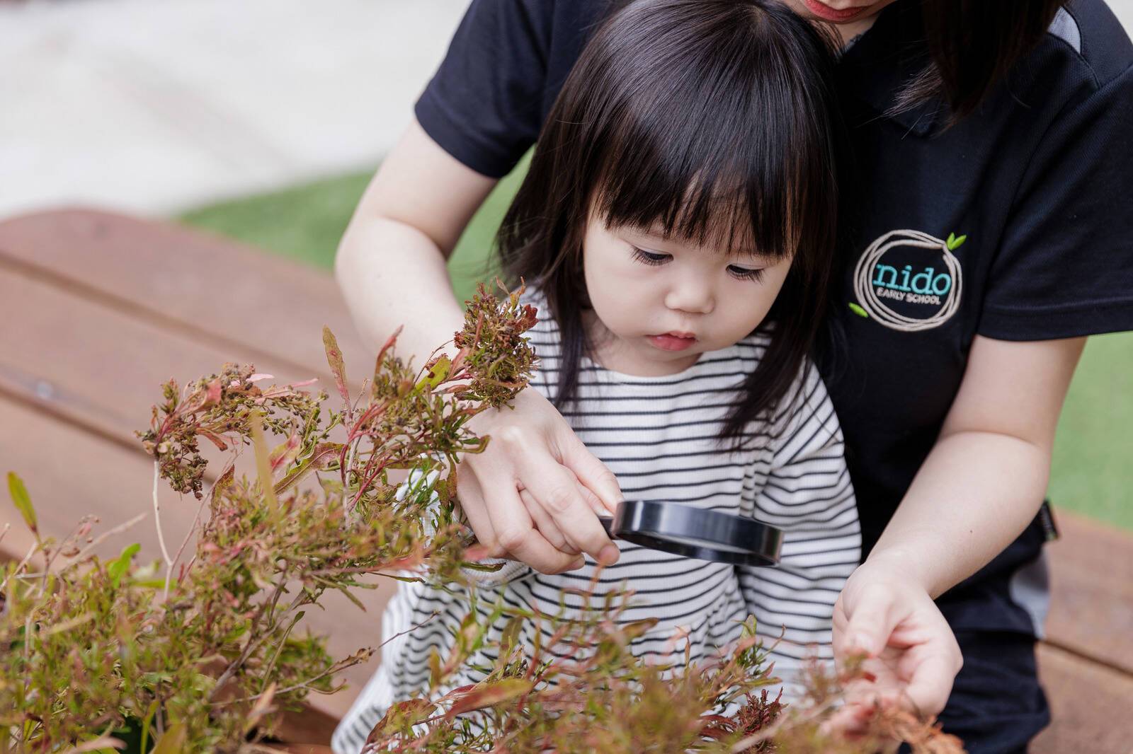 Nido Early School Bulleen