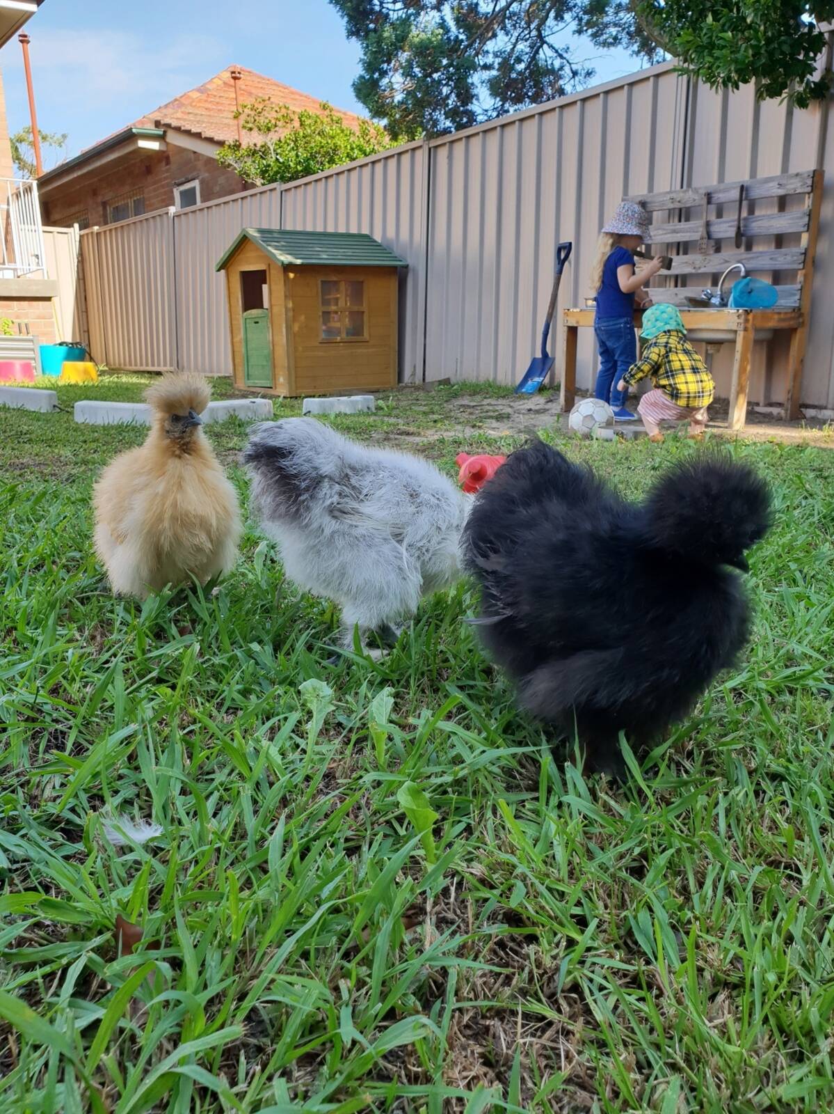 Ladybug Family Day Care