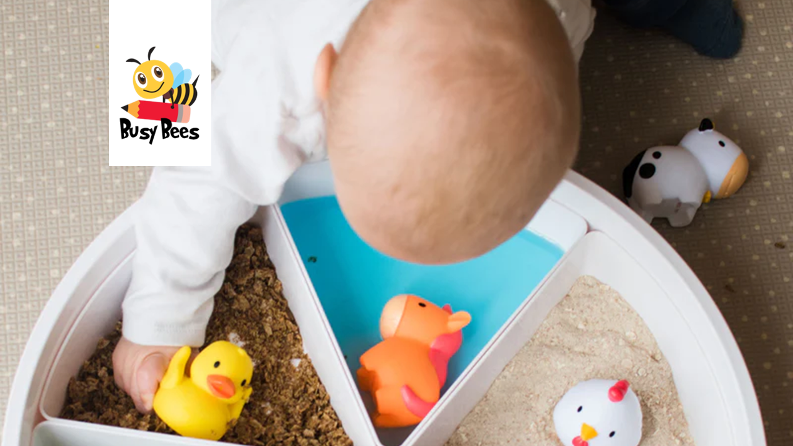 Busy Bees Family Day Care