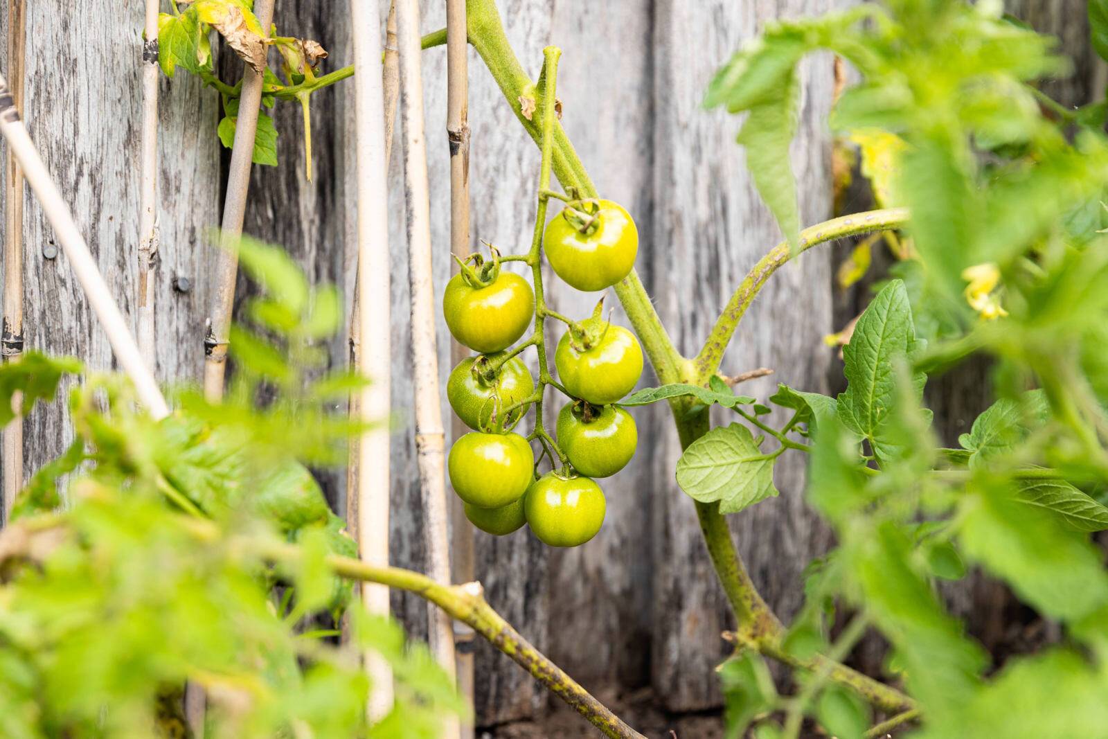 Colour My World Children's Centre - West Ryde
