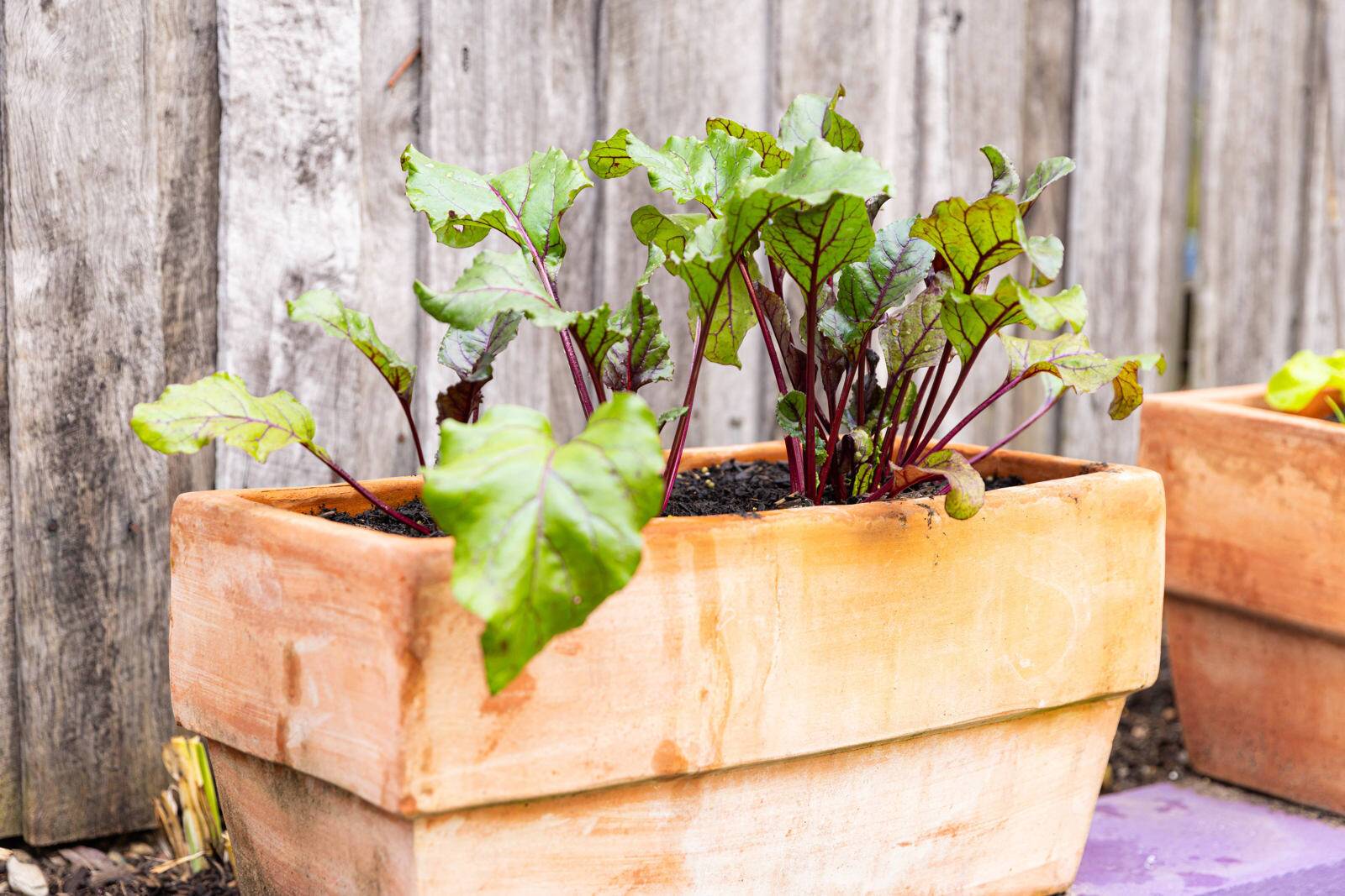 Colour My World Children's Centre - Ermington