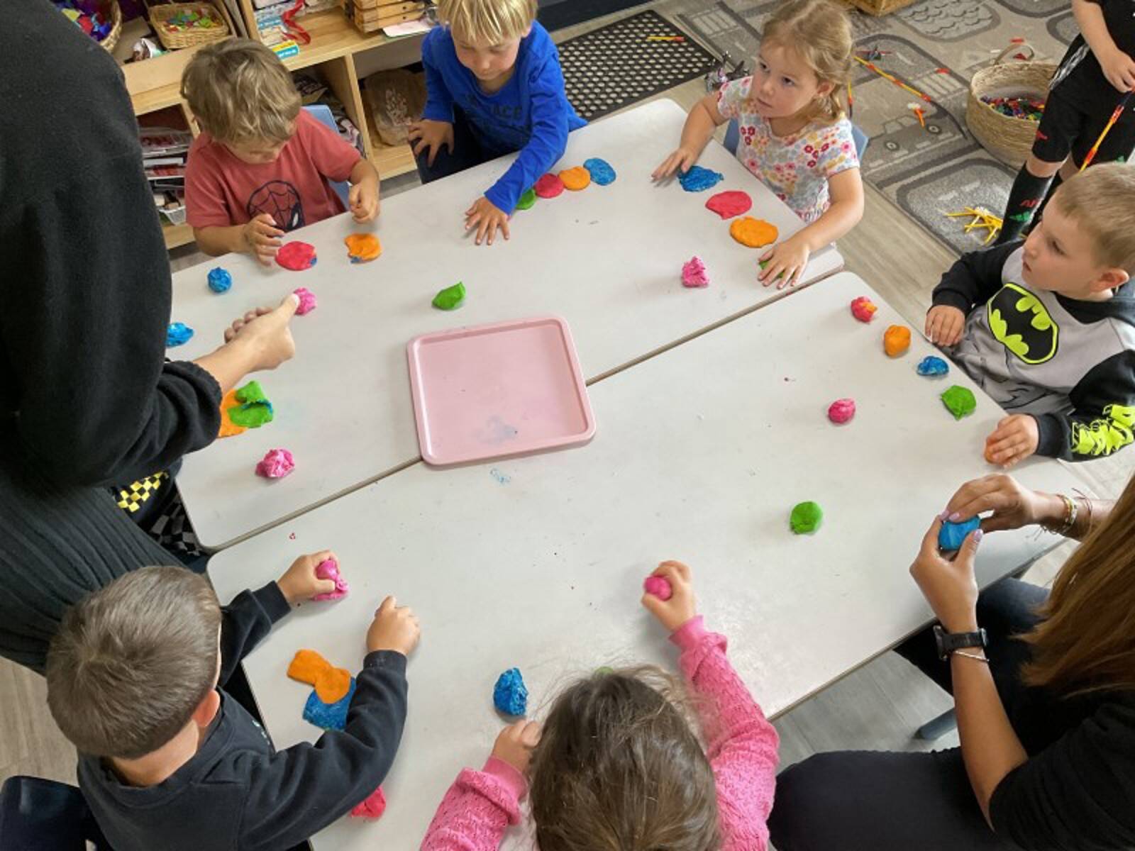 Ekidna - Dee Why School of Early Learning