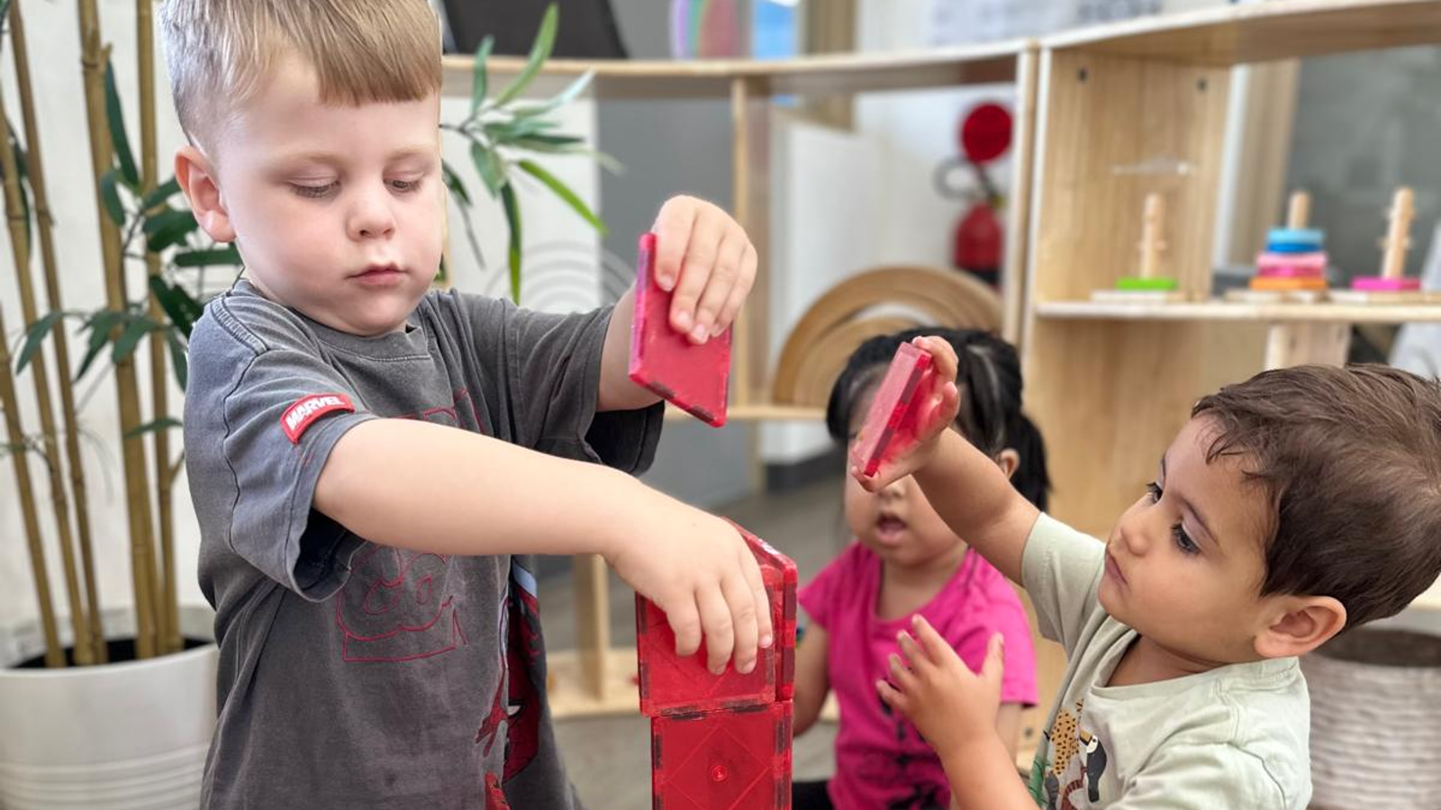 Fingerprints Early Learning