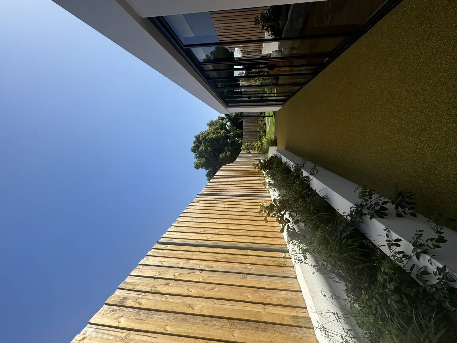 Elementary Academy Early Learning