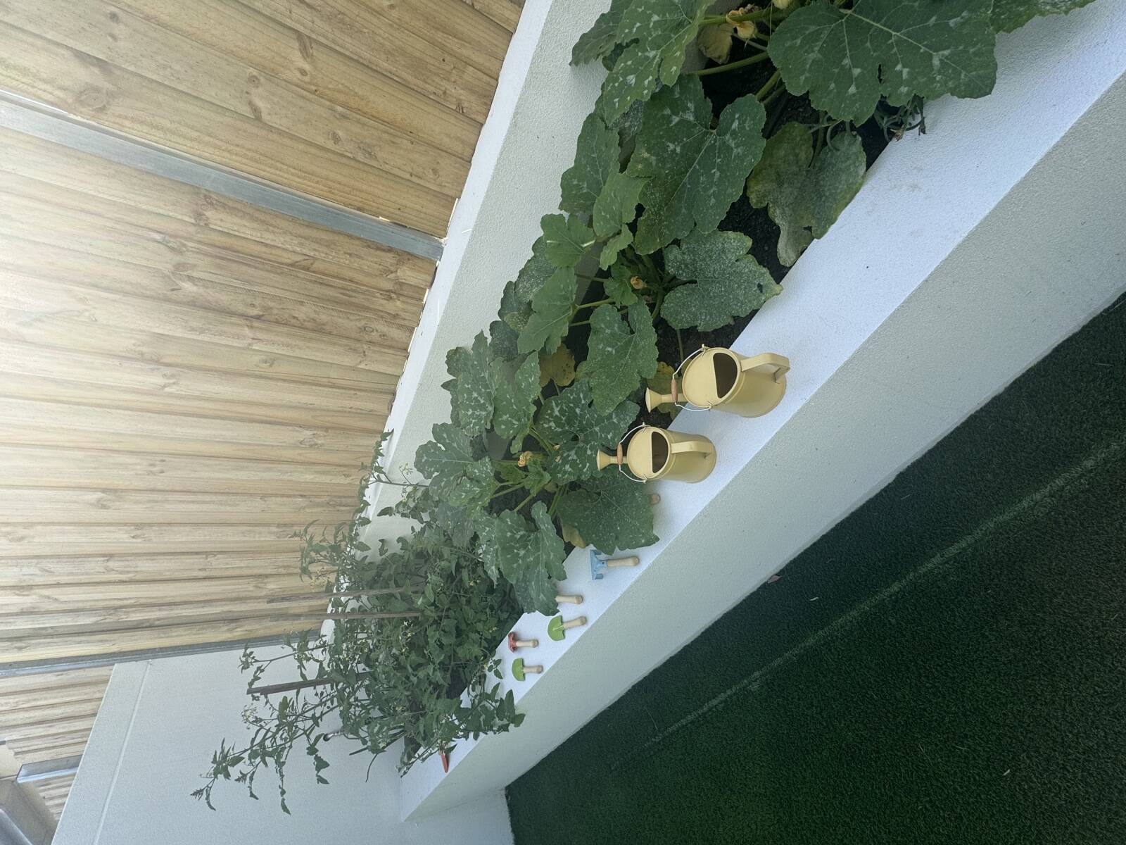 Elementary Academy Early Learning