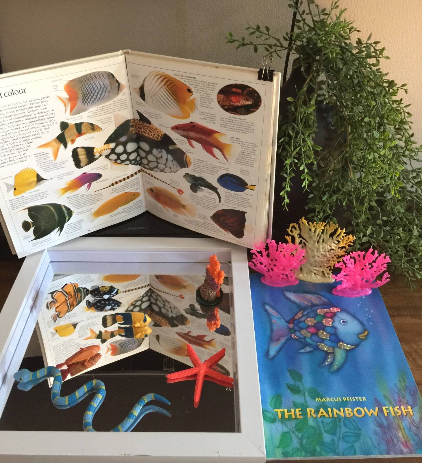 Nicola's Family Day Care