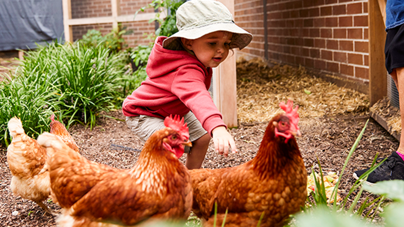 Orchard Early Learning Forestville