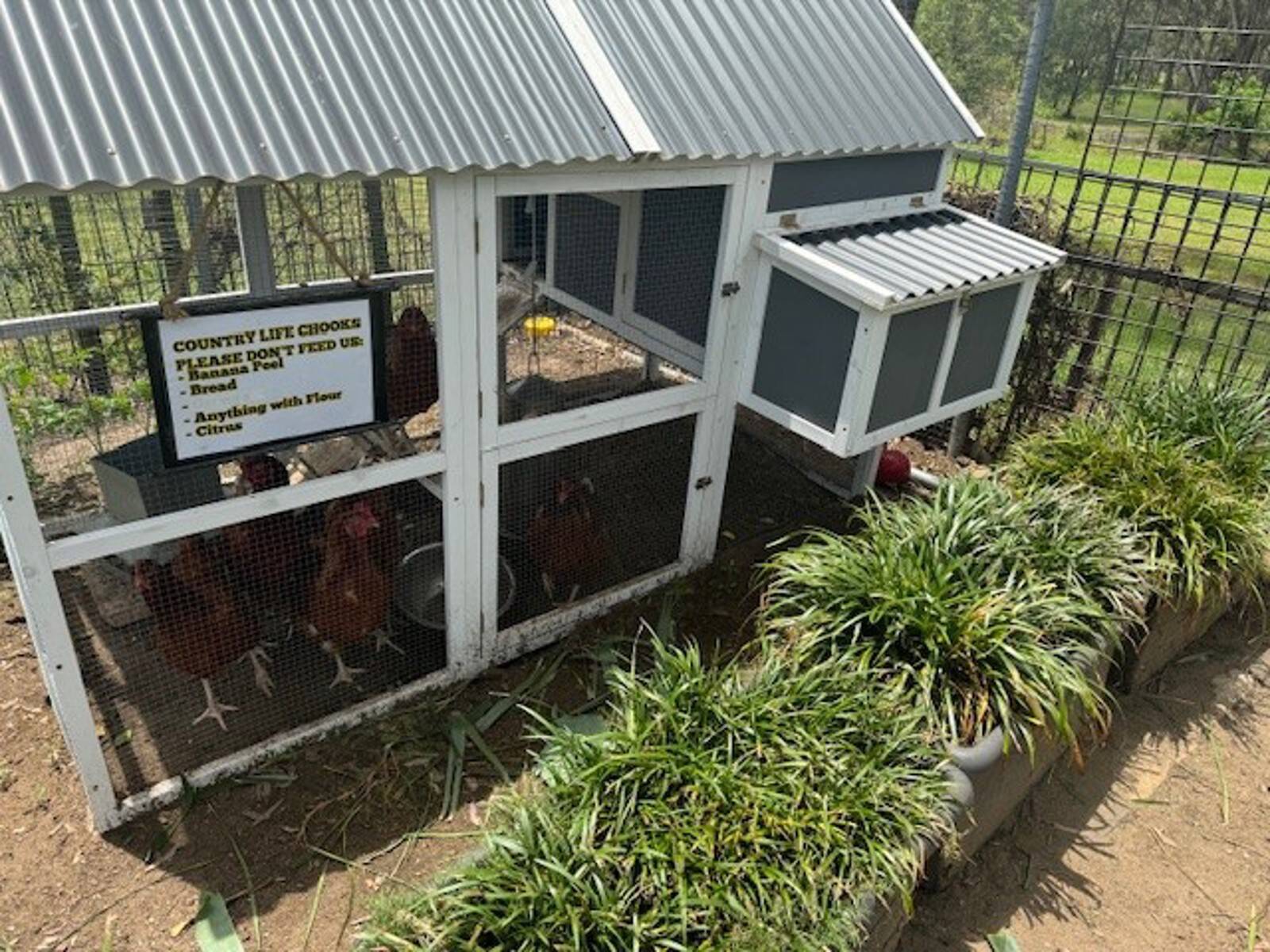 Country Life Child Care Centre