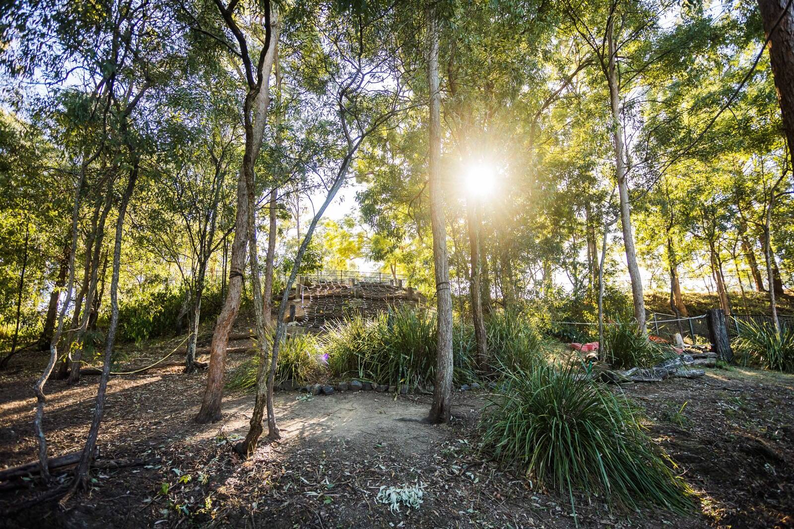 C&K Oakleigh Community Preschool & Kindergarten