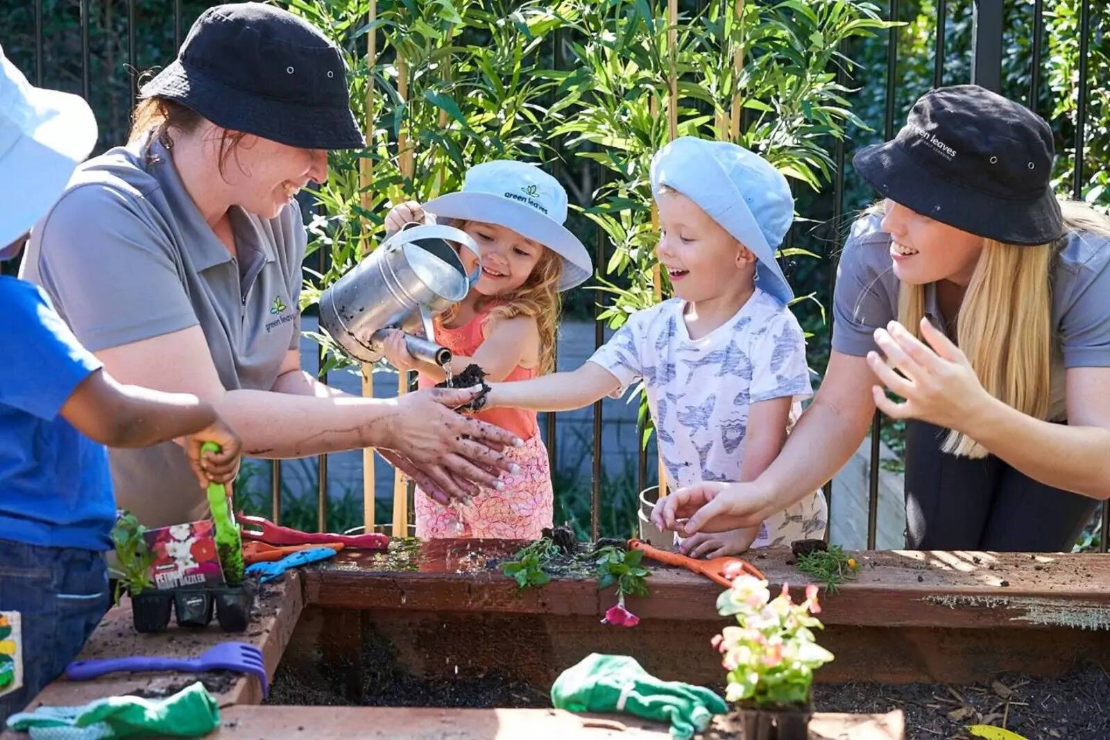 Green Leaves Early Learning Wildflower