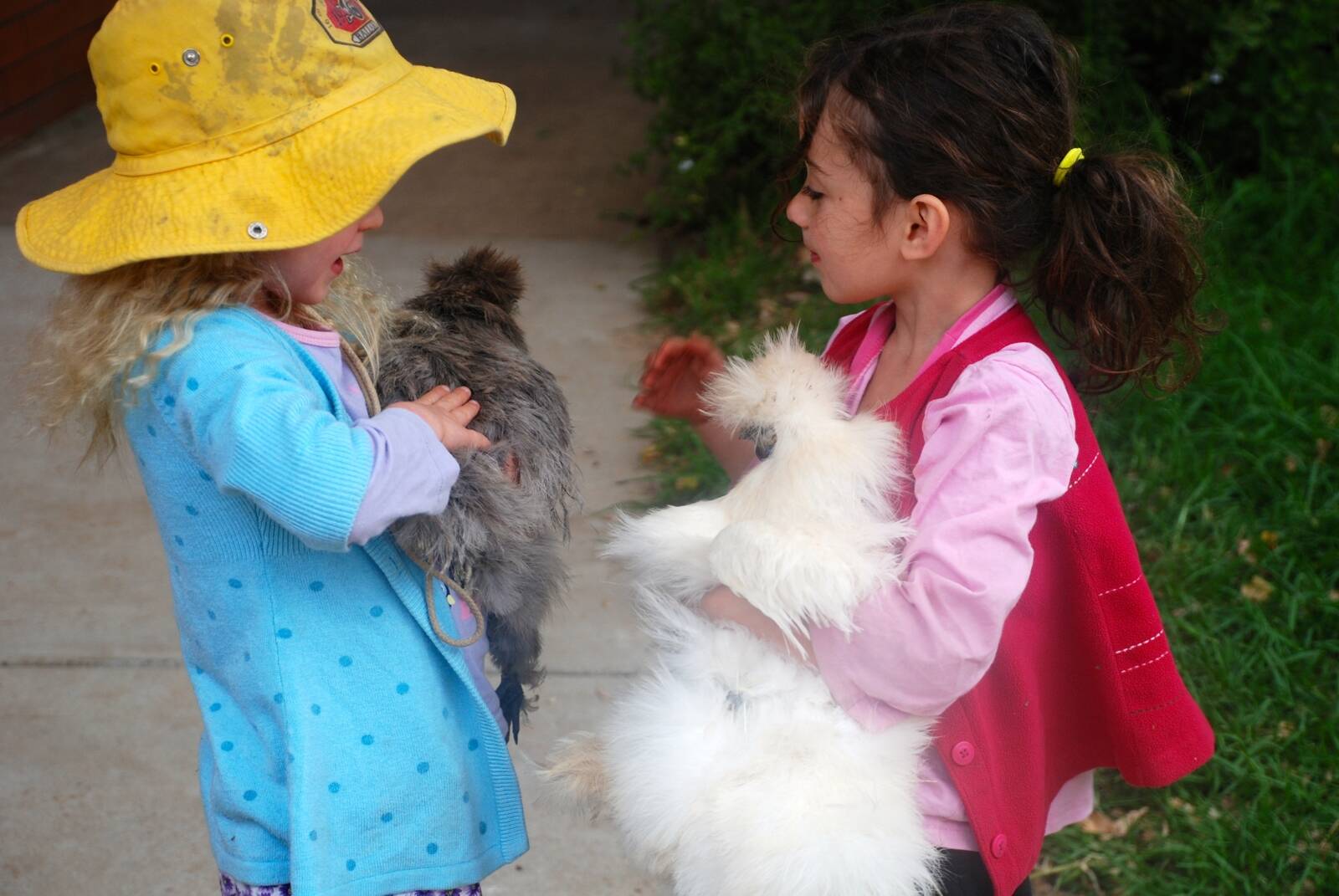 Coragulac and District Kindergarten