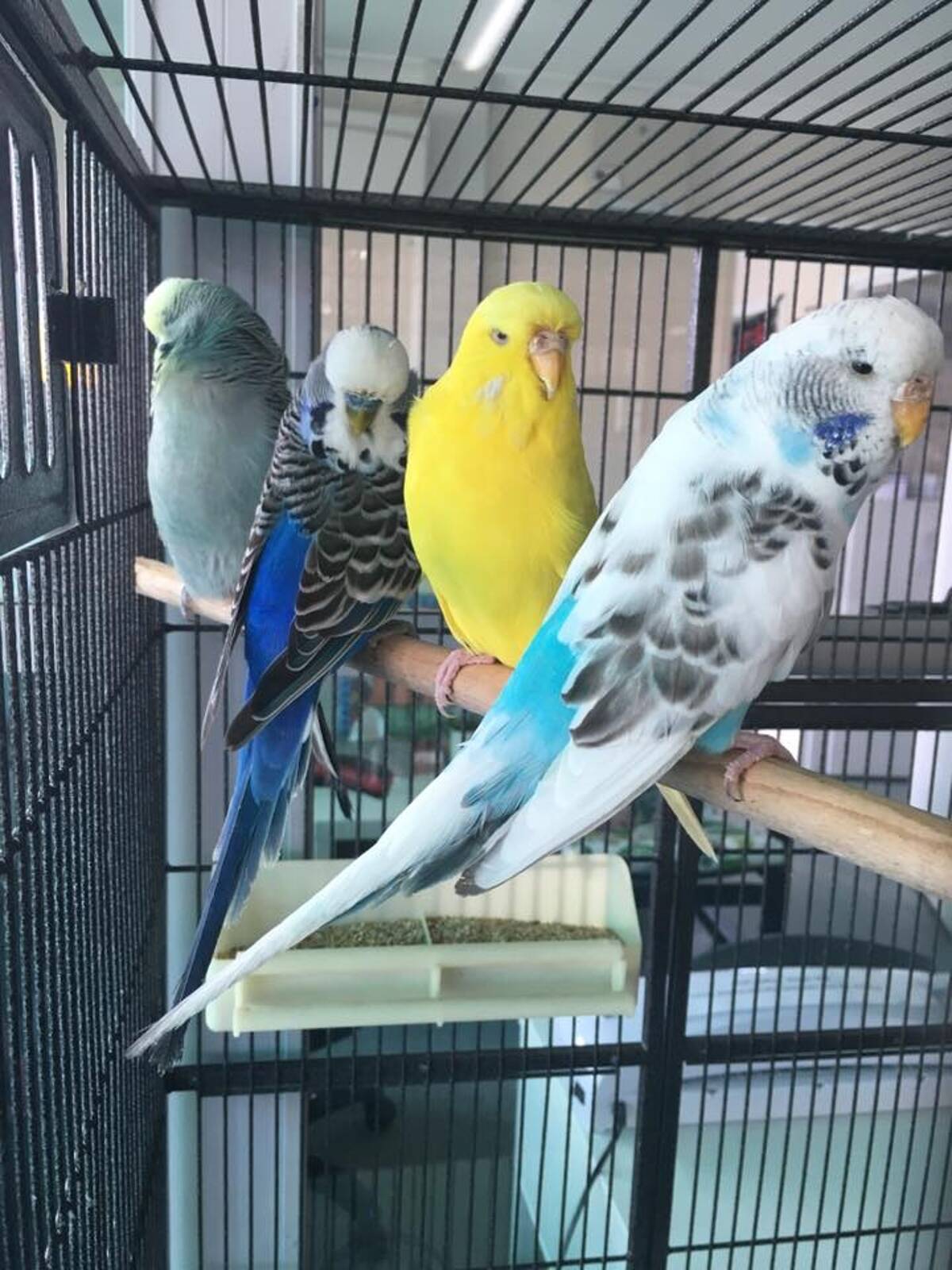 Durack Early Childhood and Pre-School Centre