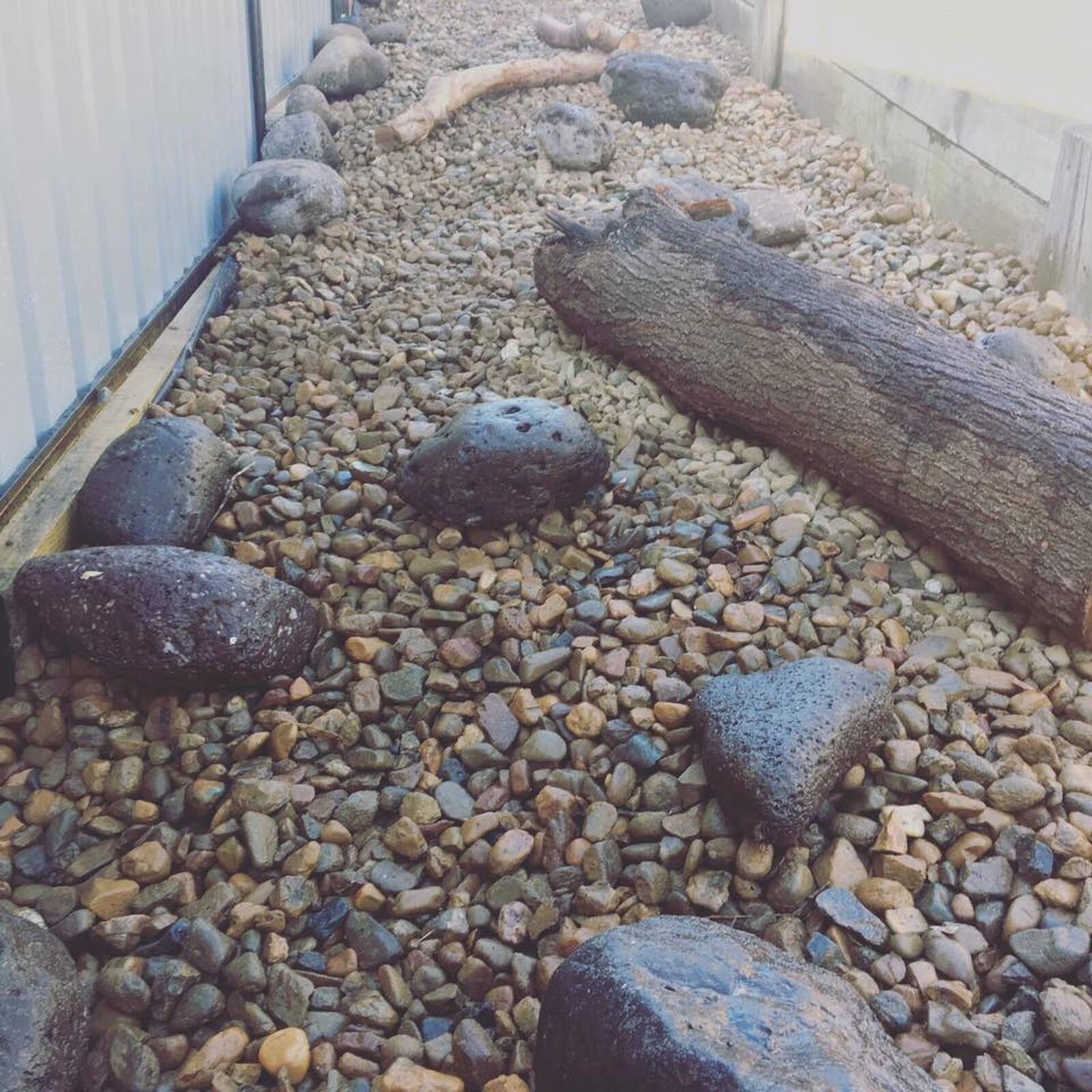 The Hills Montessori Children's House