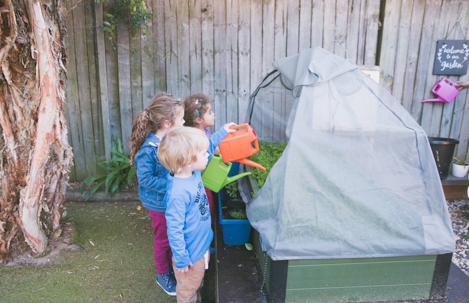 Pine Street Kindergarten